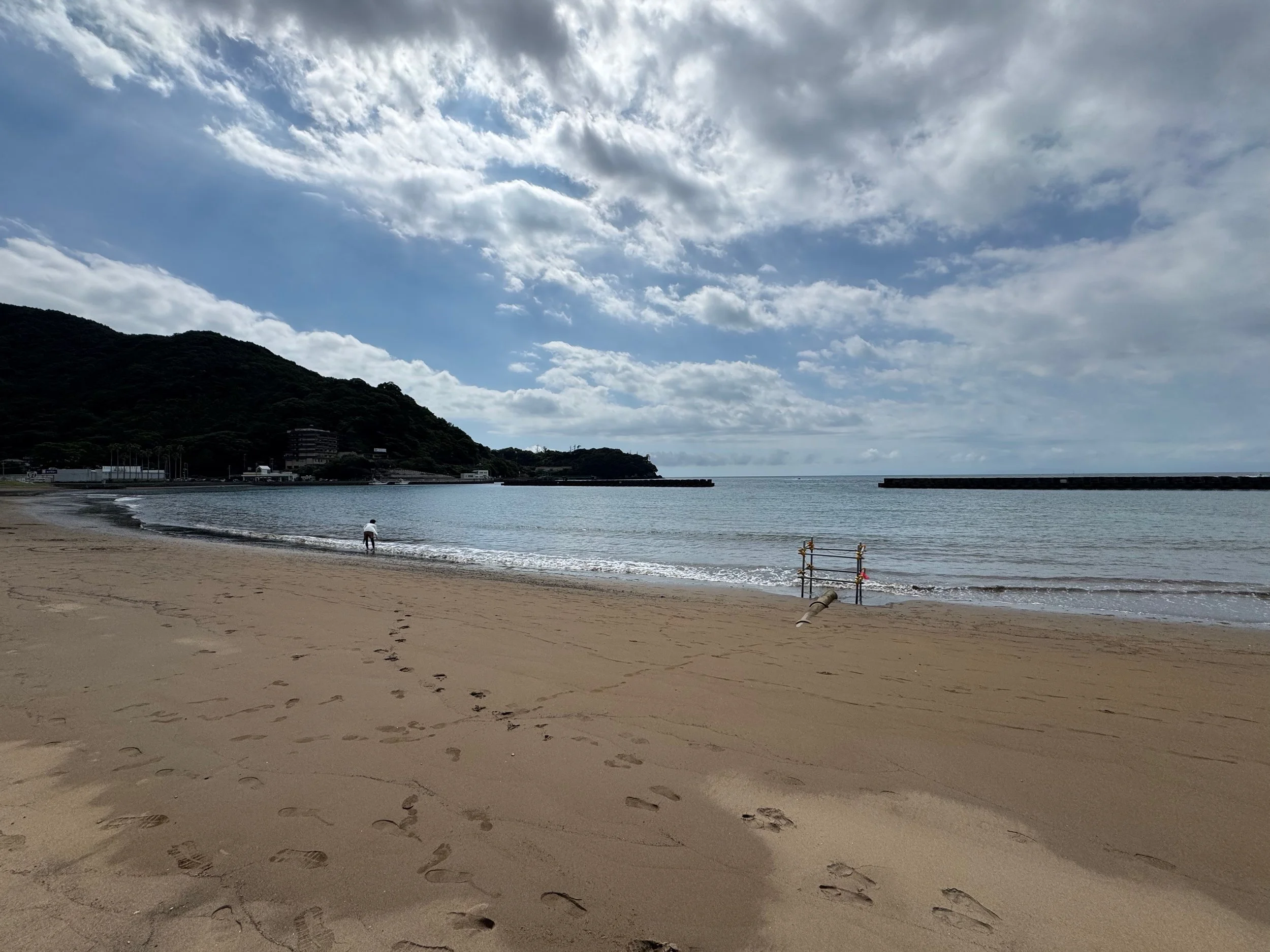 Day 6,7 : Tokyo - Izu