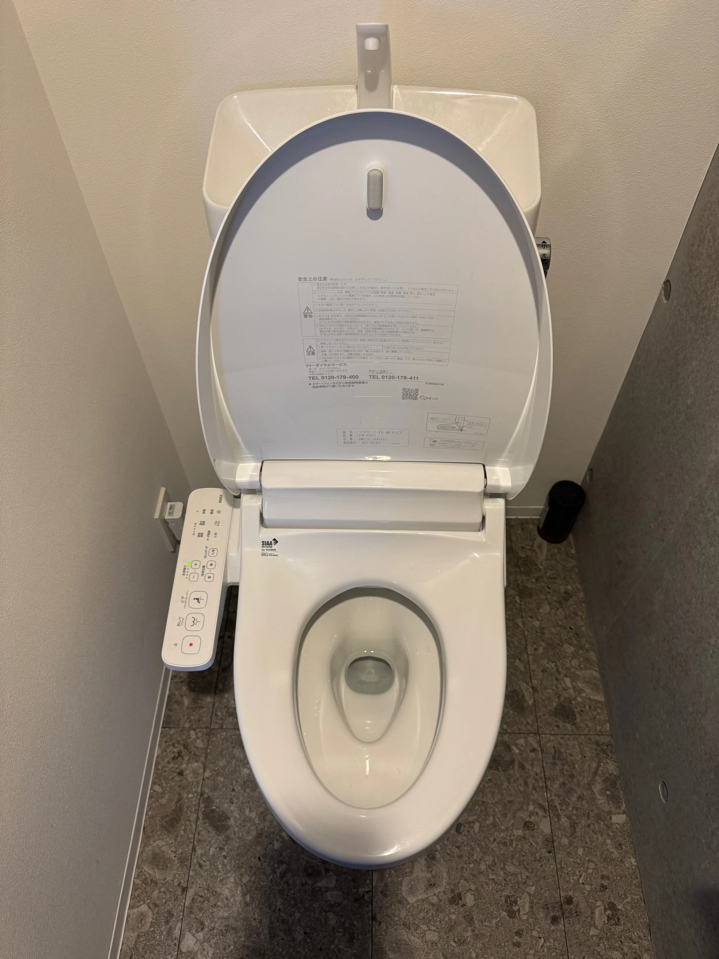 Japanese sanitary habits