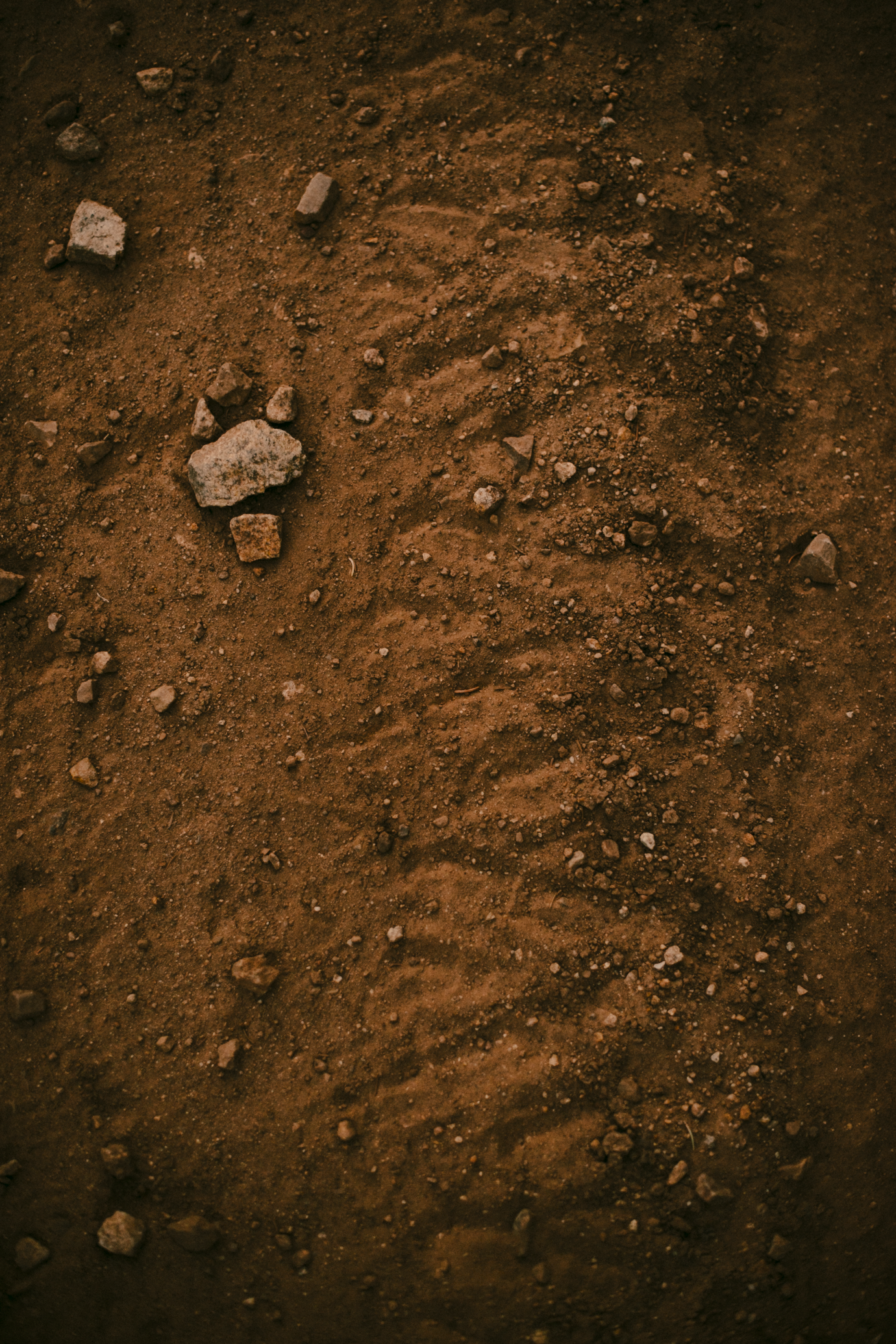 Screen Shot 2018-06-27 at 1.05.17 PM.png