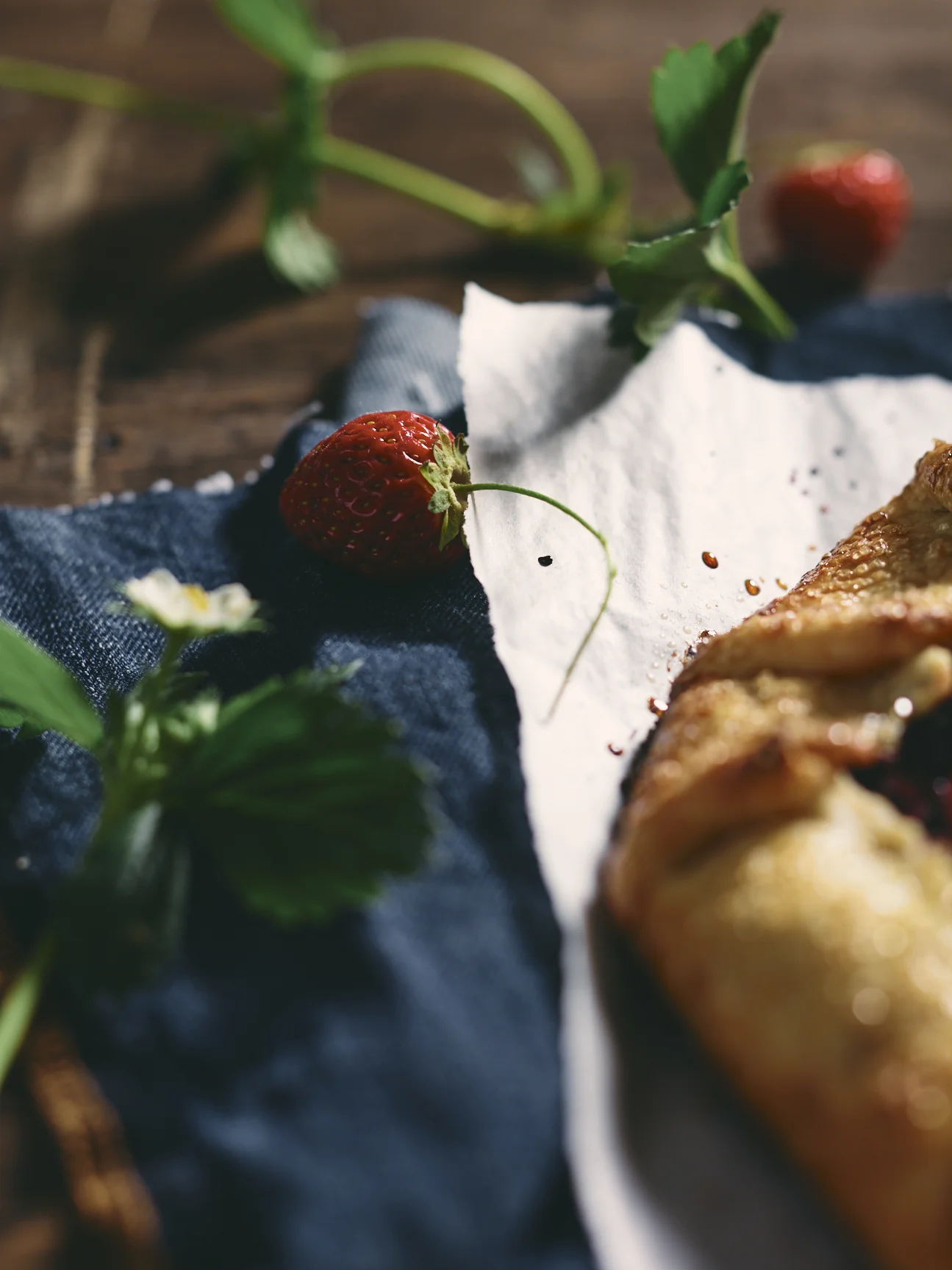 tart_53927.jpg