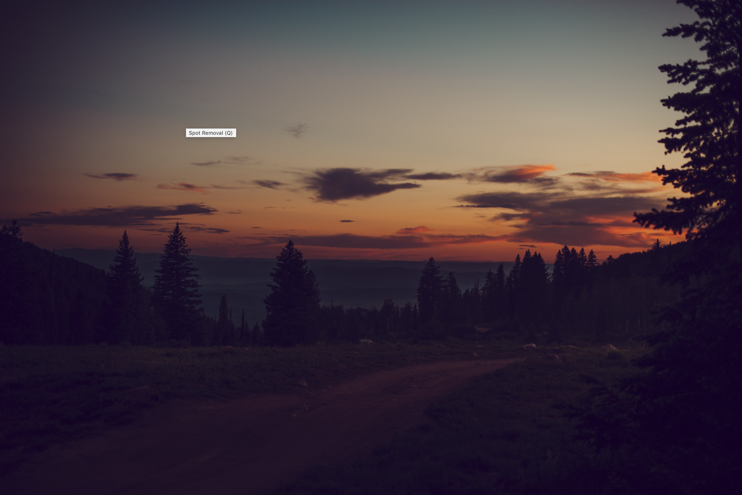 Screen Shot 2019-09-13 at 12.10.34 PM.png