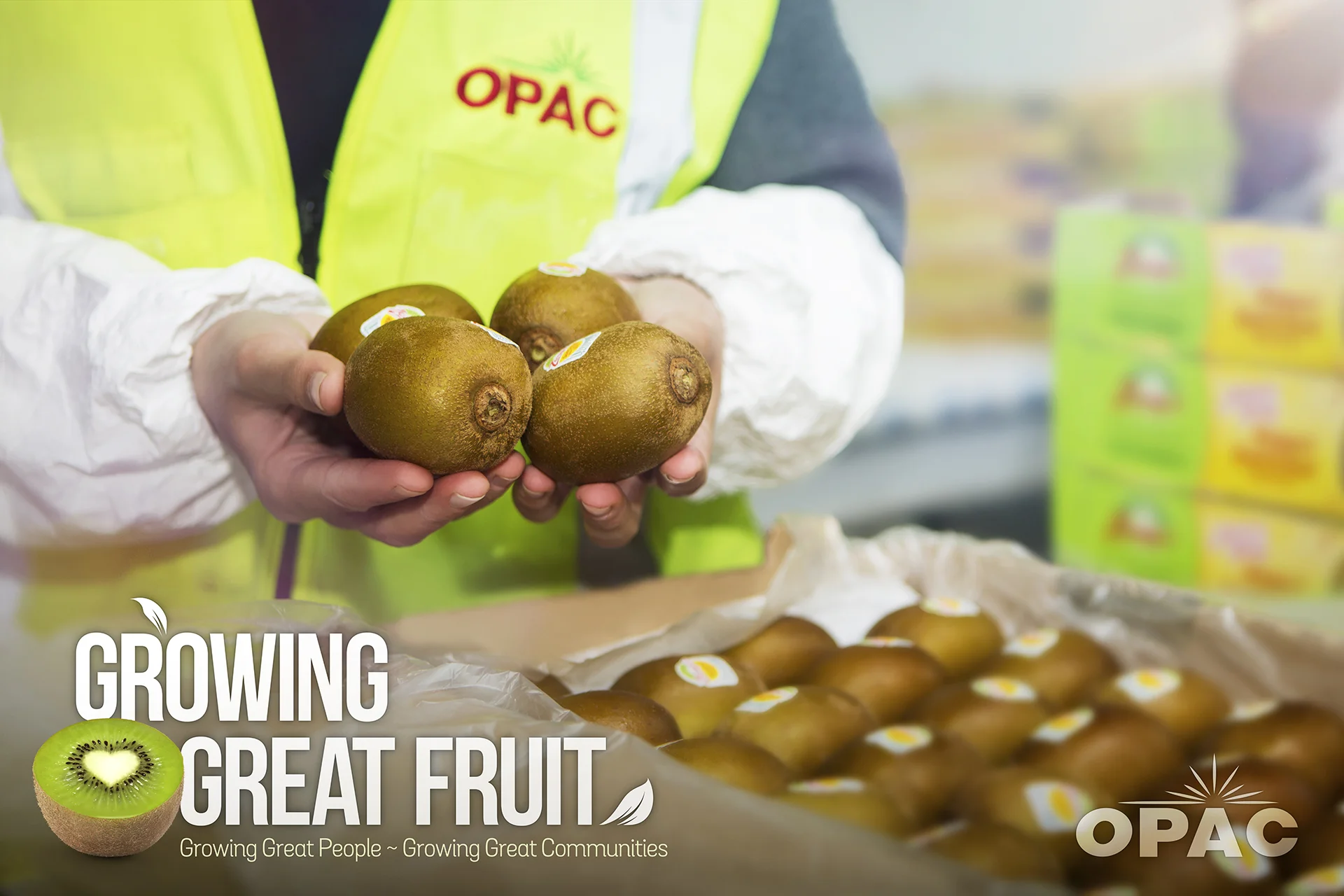 Opac14C2372 wBrandstatement.jpg