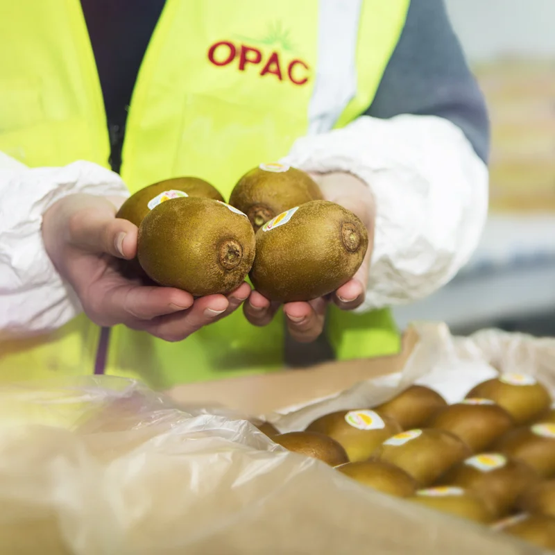 OPAC