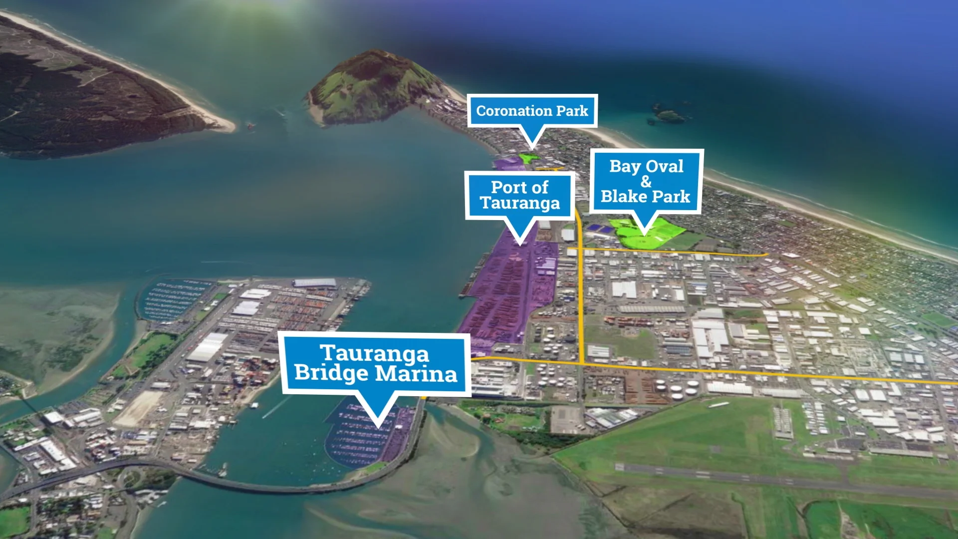 Totara Street 1.jpg