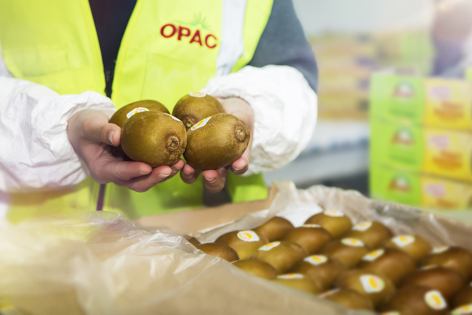 Opac fallback image.jpg