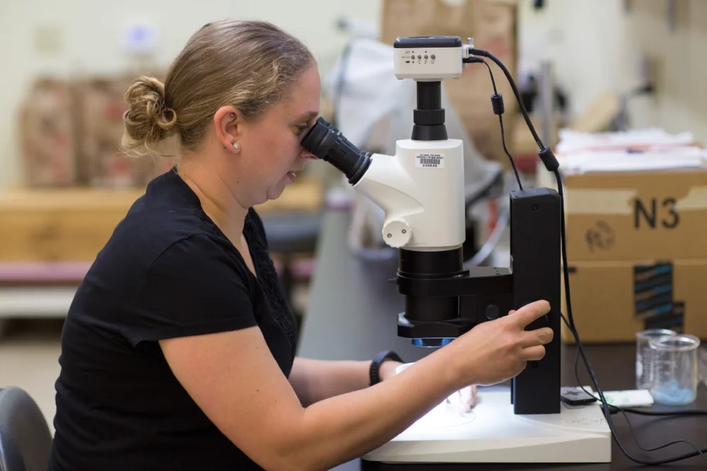 Studying soil arthropod communities