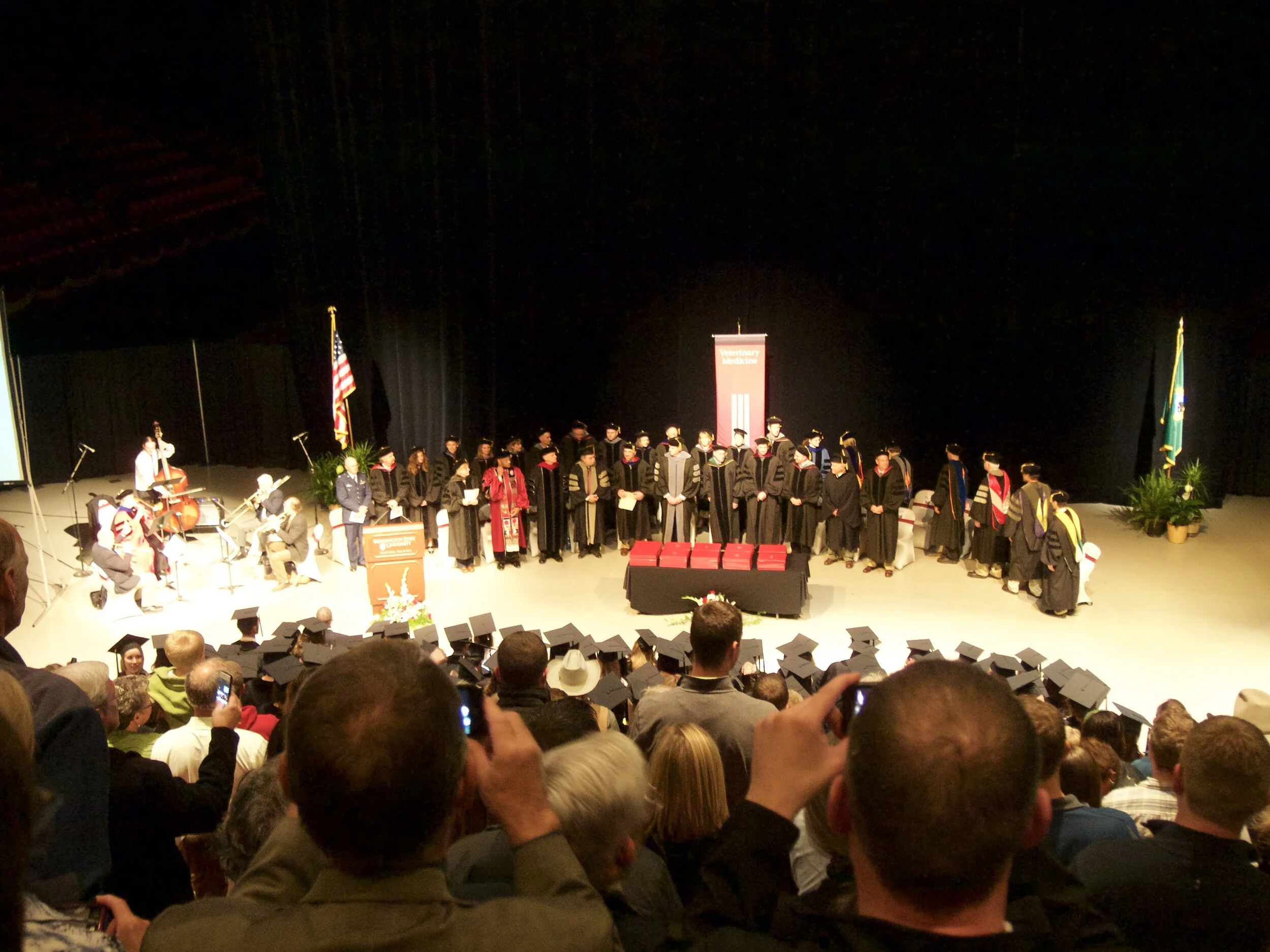 Young People are our Future-what if they disappear? The cost of Climate Anxiety.