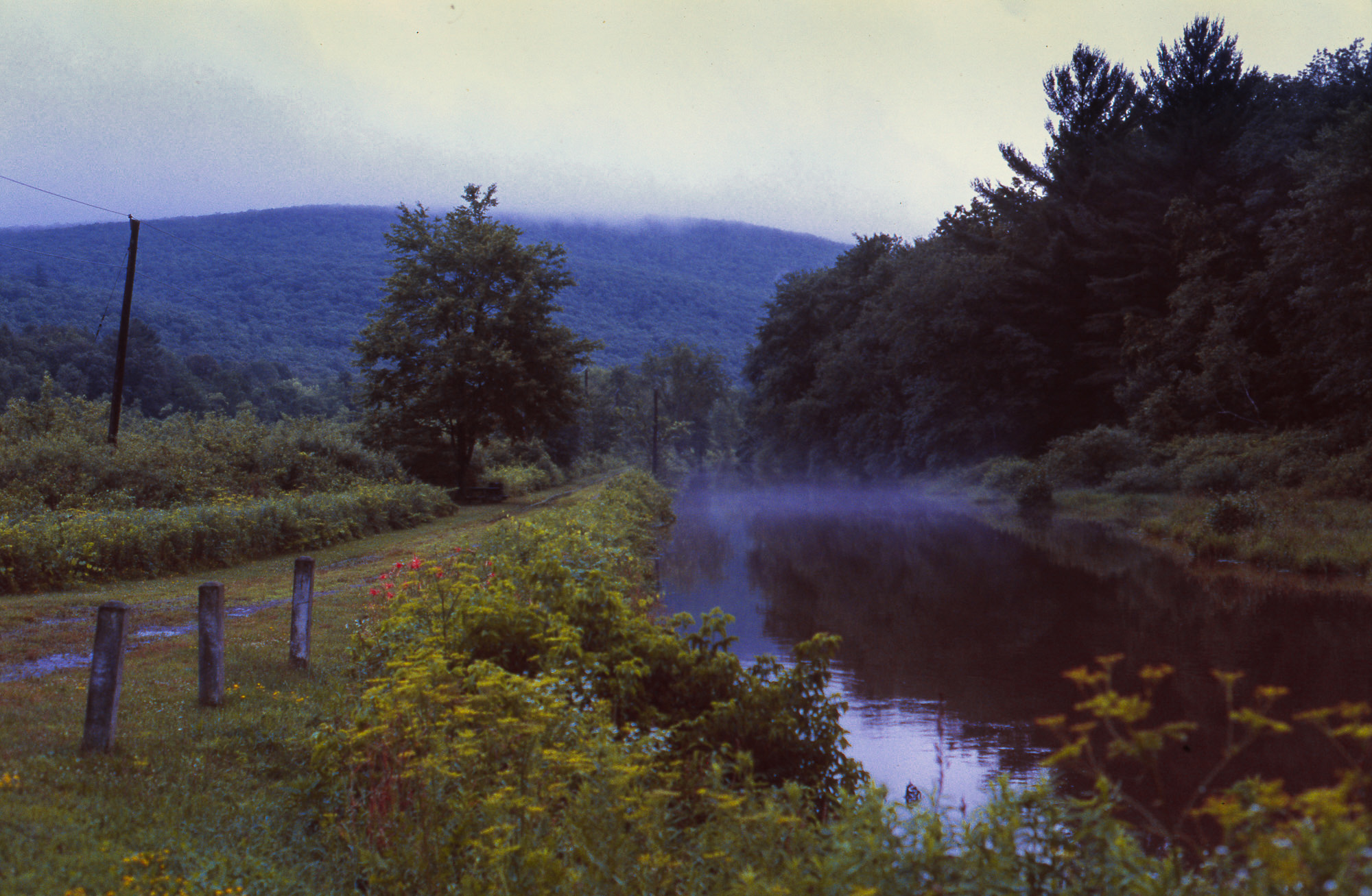 THERE IS NO GRAVITY x AARON BROWN