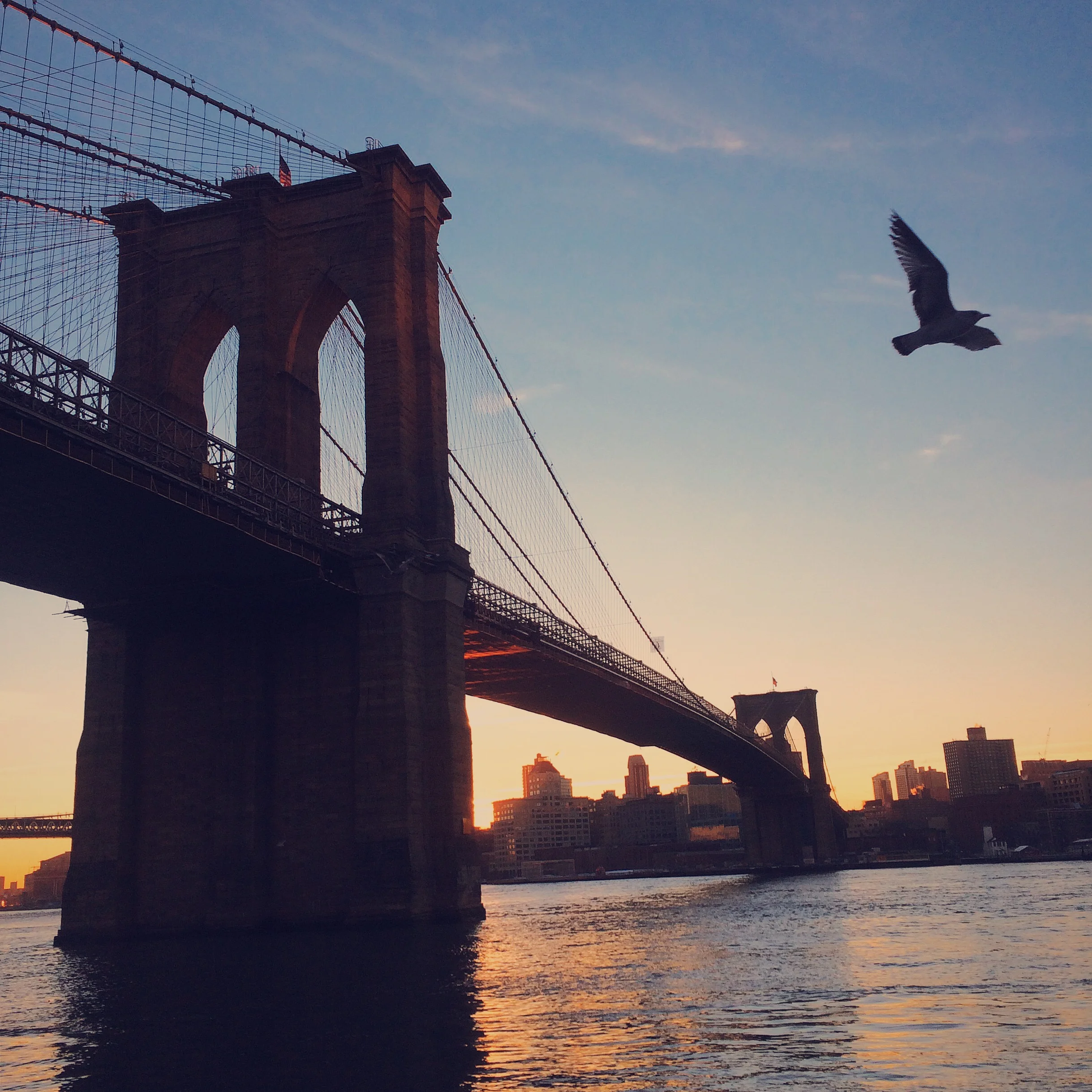 LOUIE LOUIE LOUIE LOUIEEEE