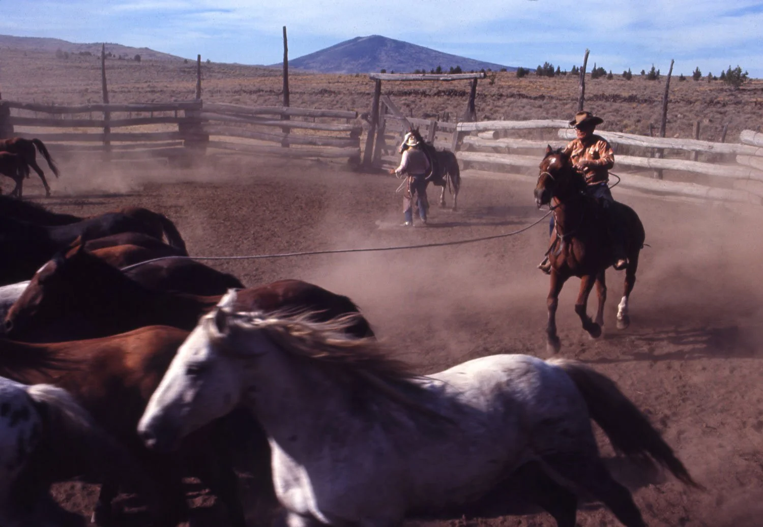 01_horses020.jpg