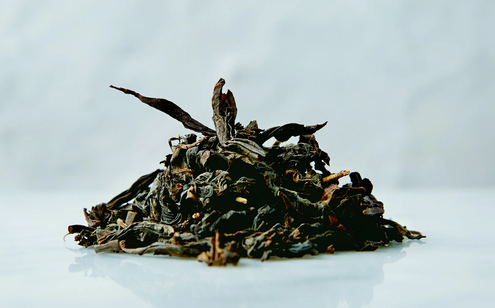 2014-03_James-Chiang_Samovar_02.jpg