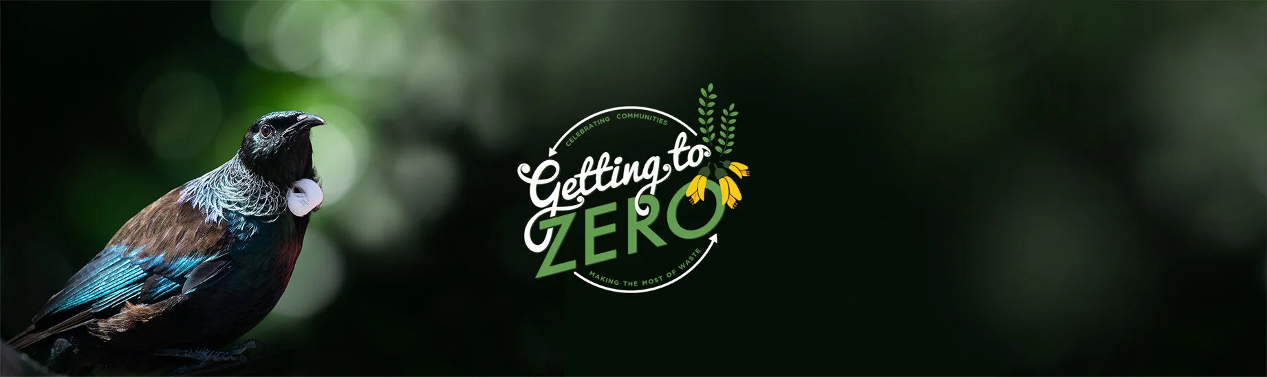 GTZ Tui Banner with smaller logo.jpg