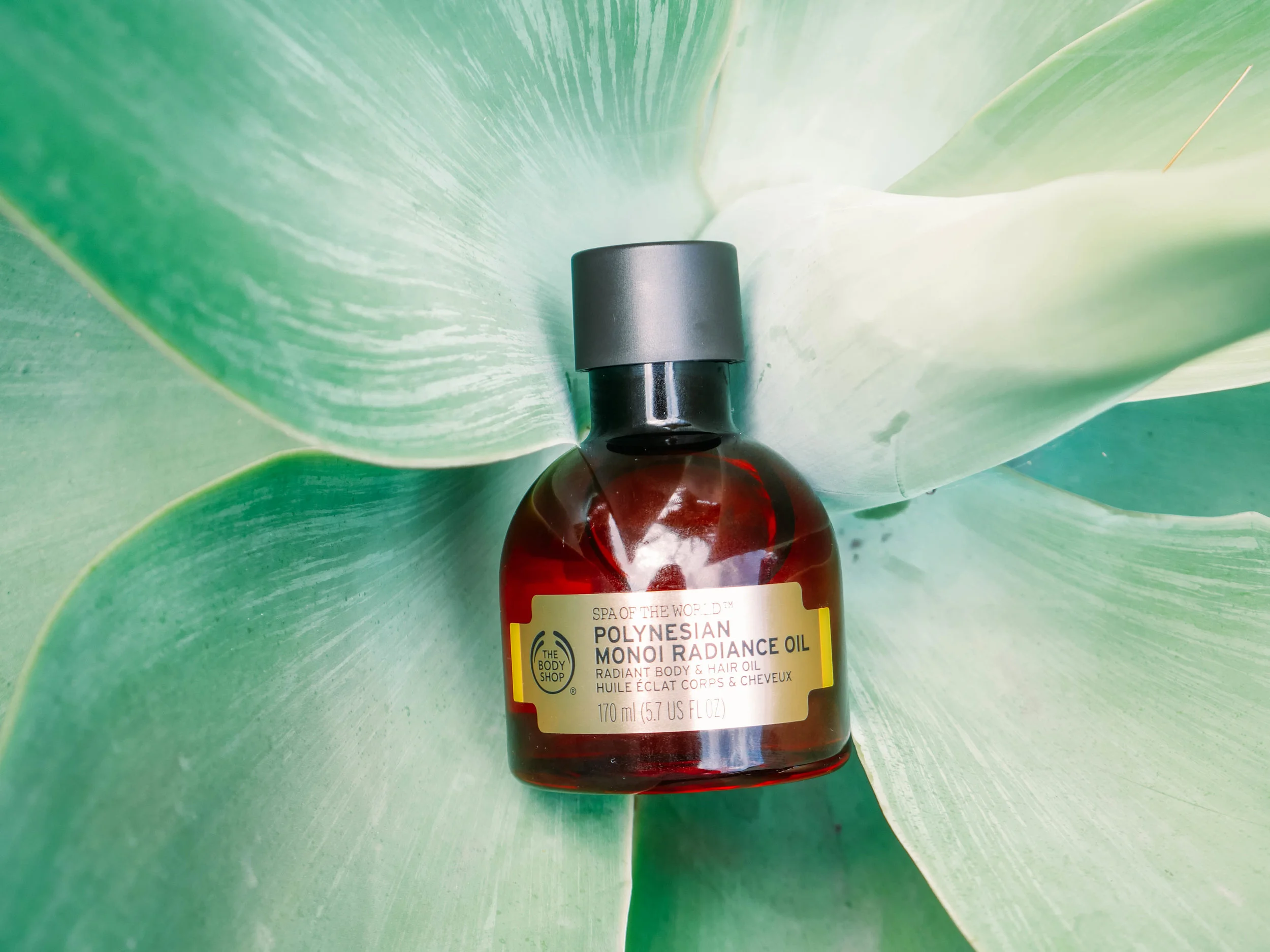 body oils (11 of 19).jpg