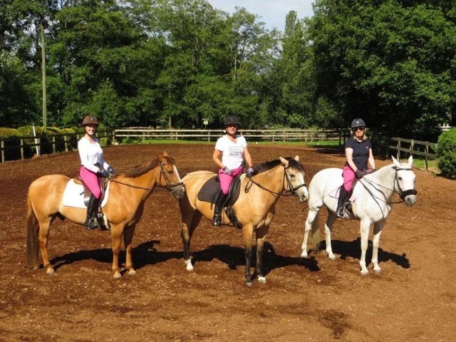 Saturday ladies with red breeches July 2016 003.jpeg