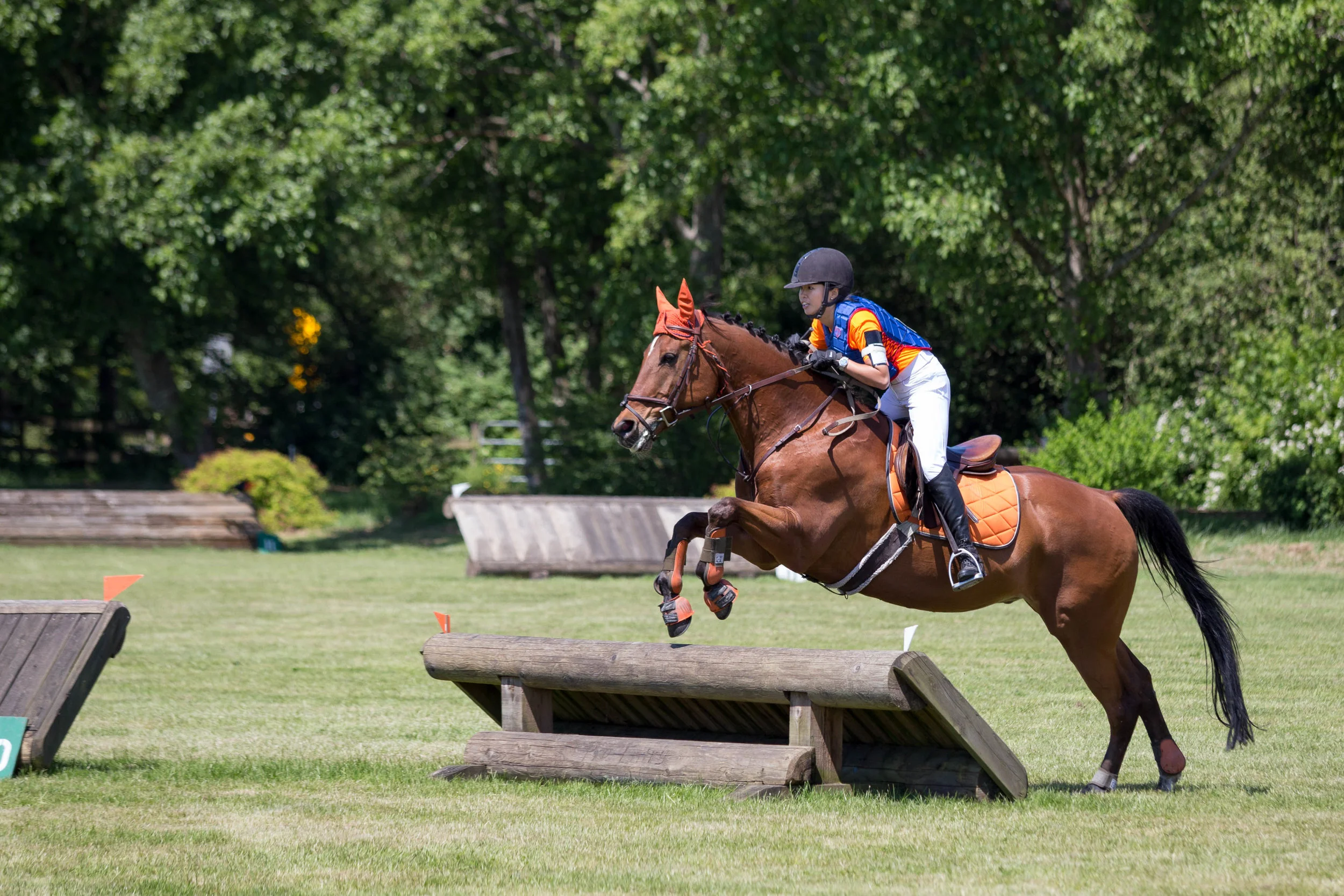 2017 8 8 Collette   2-1.jpg