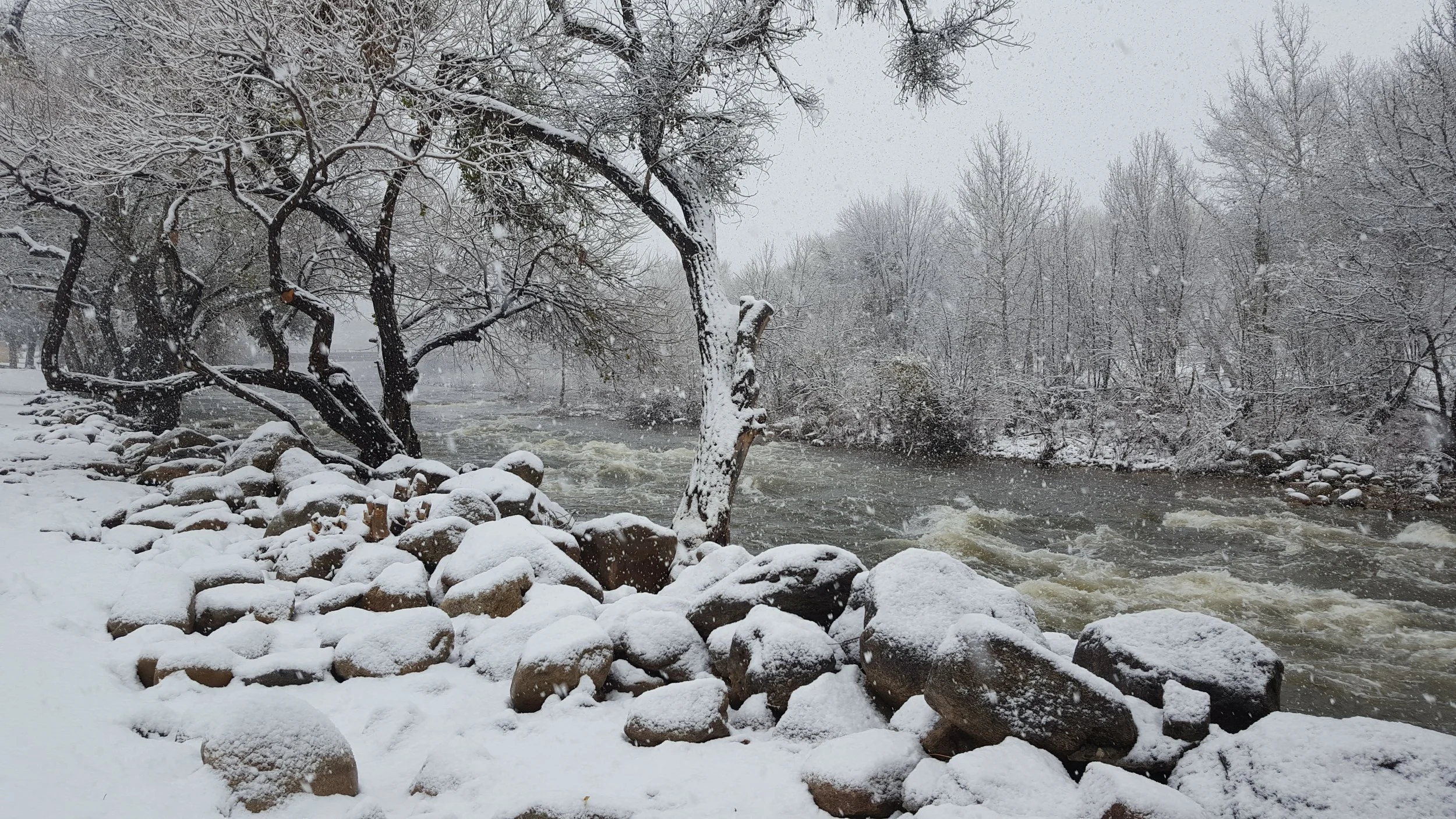 Riverside Park, Jan. 2017
