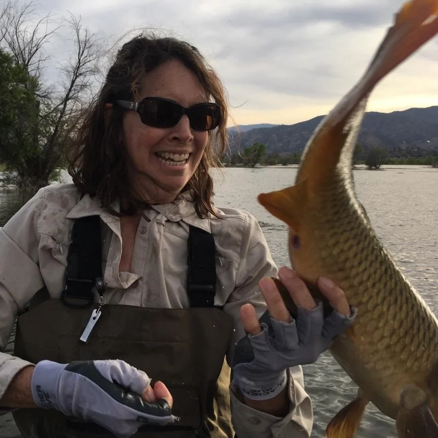 A Case for the Southern Sierras