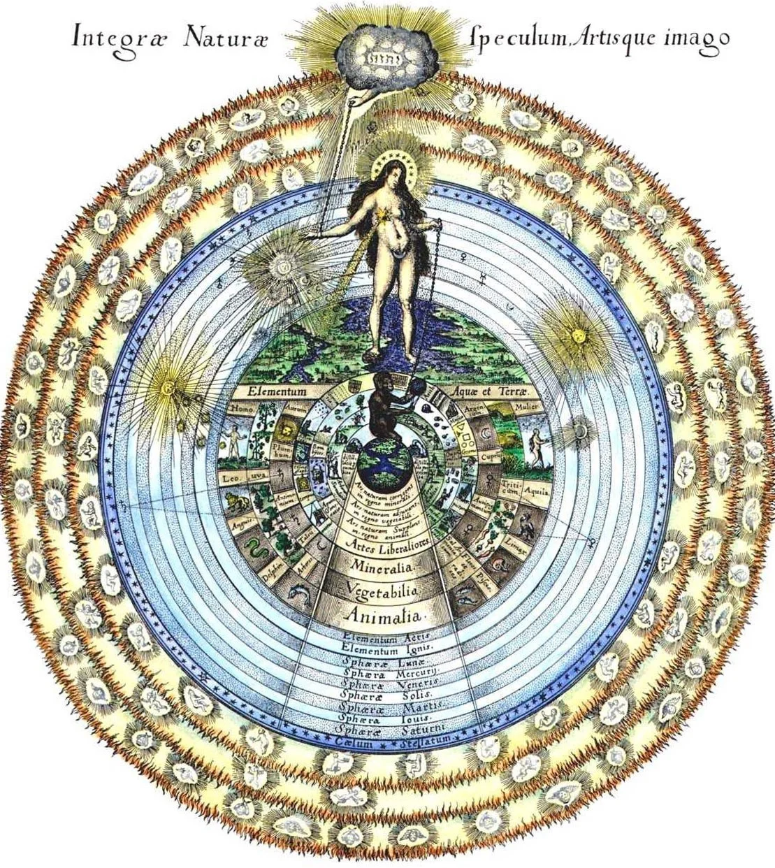 Class: Plant Philosophy and Healing (**being rescheduled)