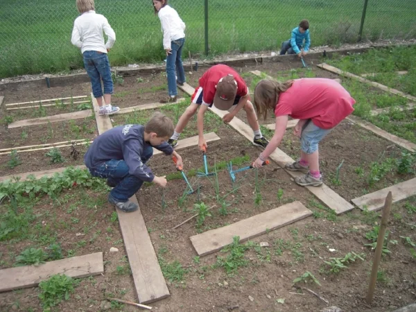 School Garden 1.jpg