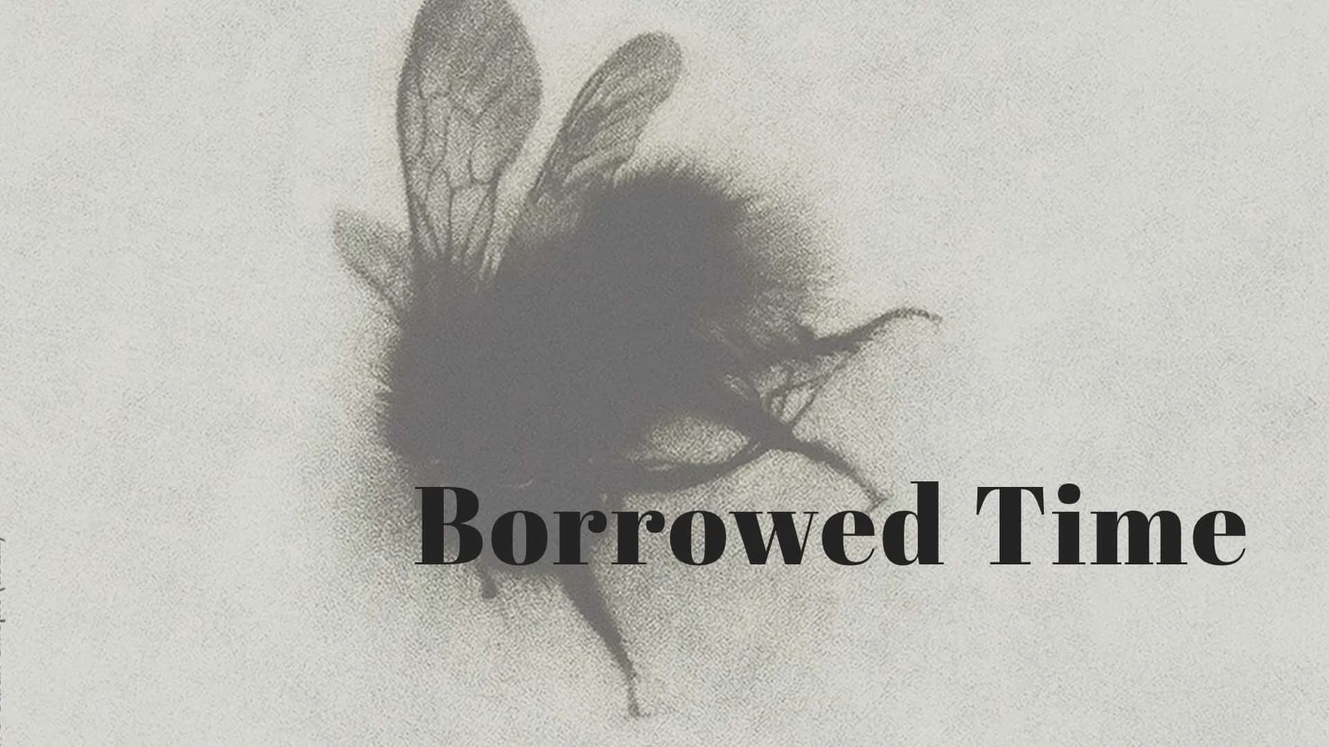 Borrowed Time: On Death, Dying, and Change