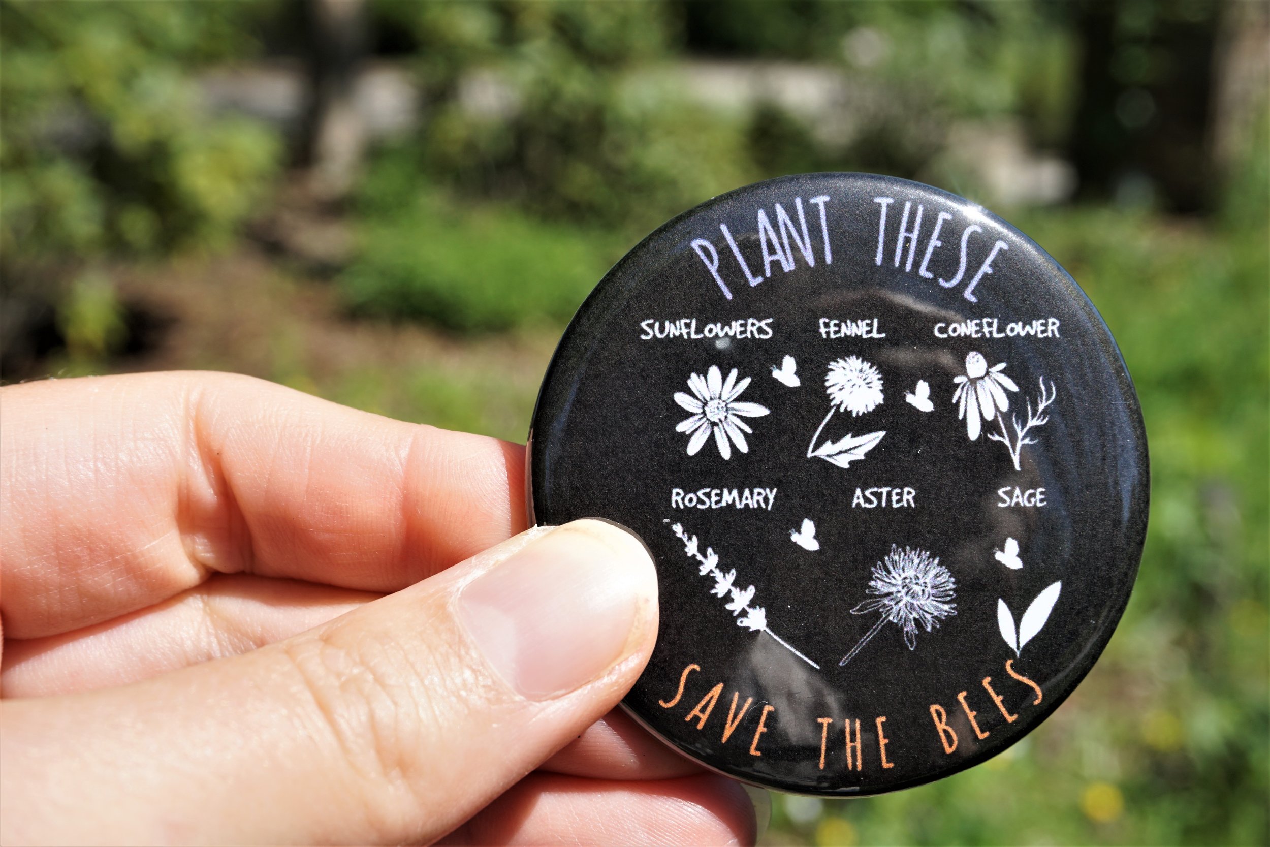 Button Plant These.JPG