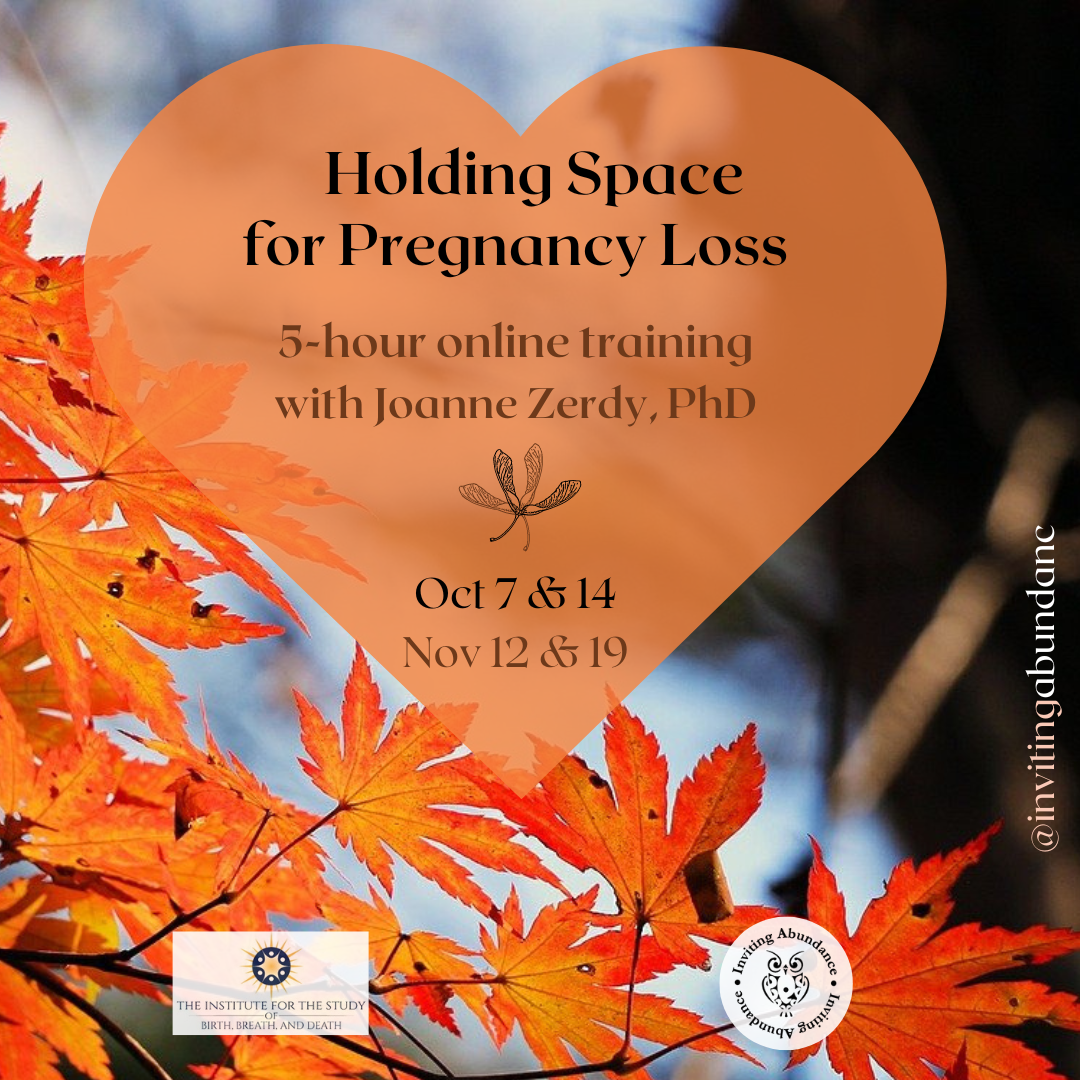 Holding Space for Pregnancy Loss - Nov 2023