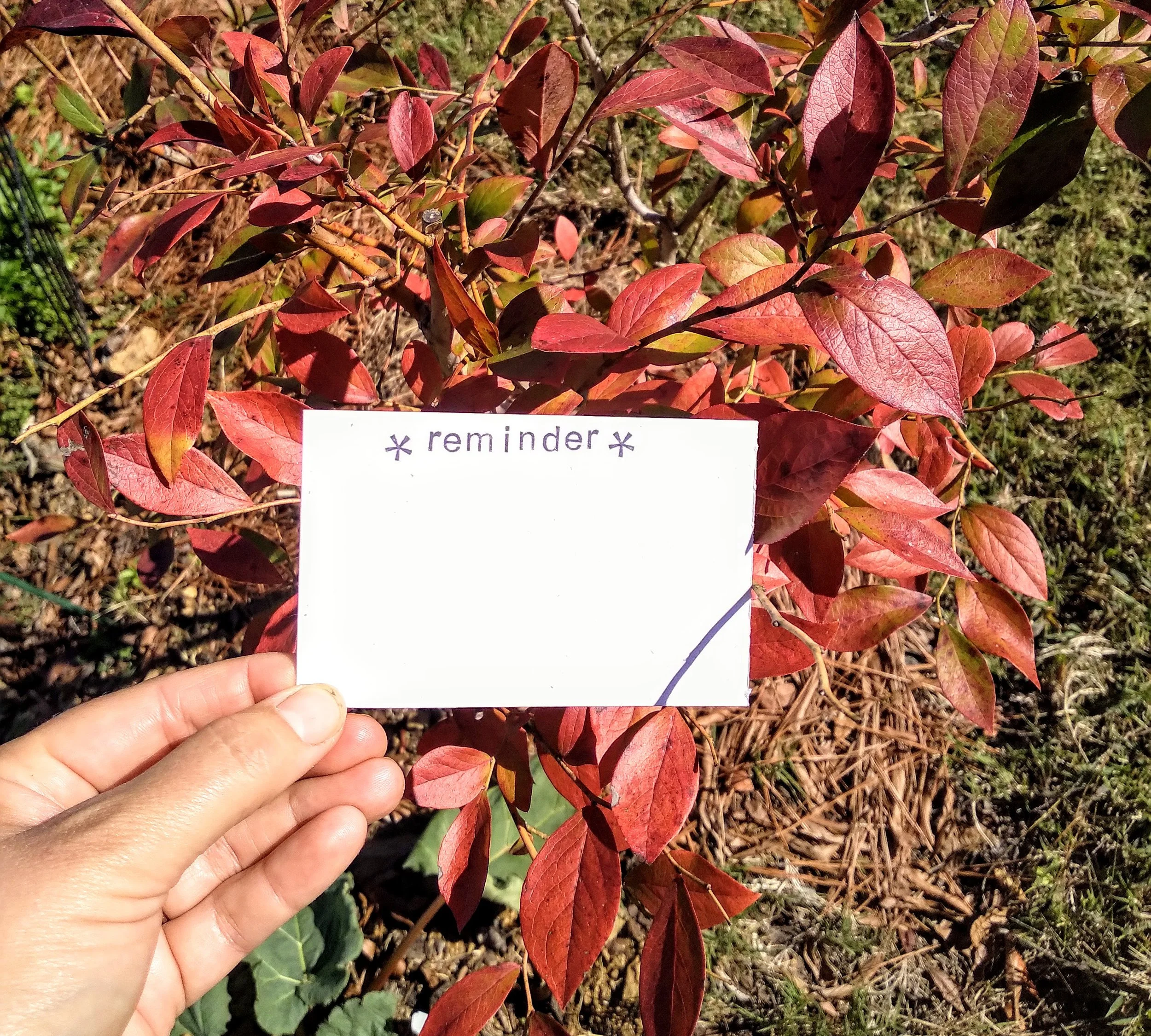 Reminder Card.jpg