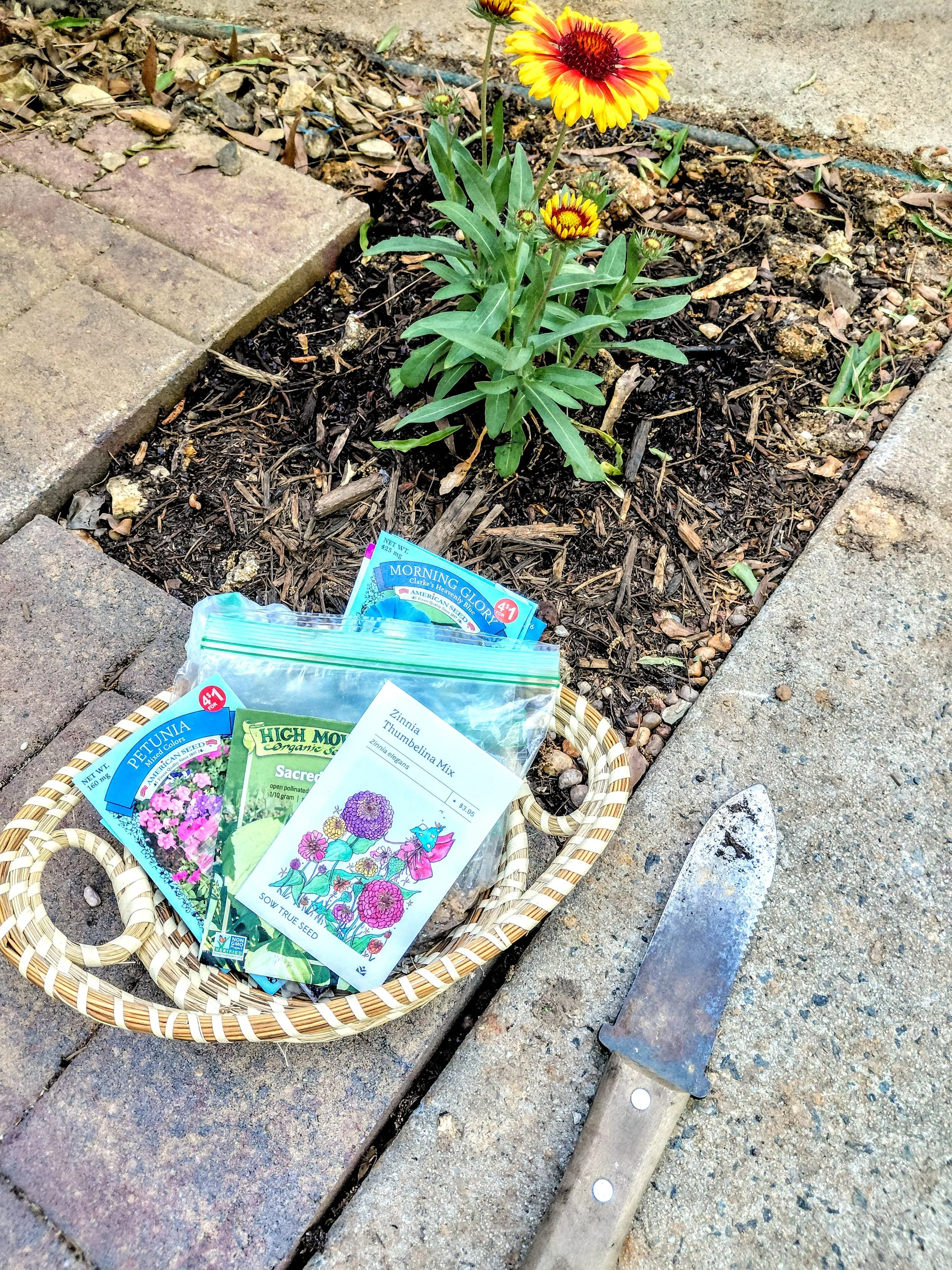 Checkerboard Garden Seeds.jpg