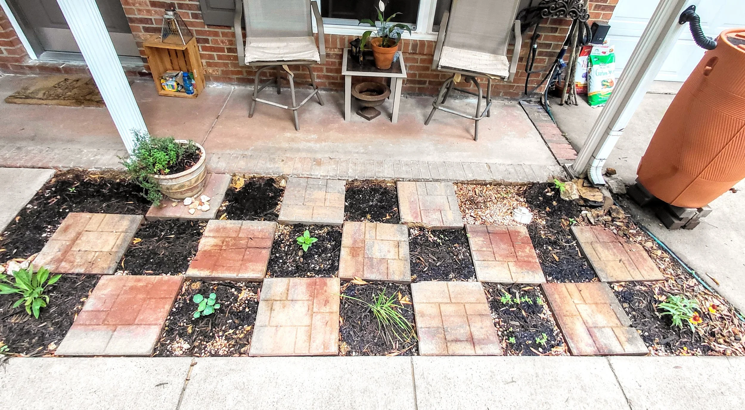Checkerboard May 2026.jpg