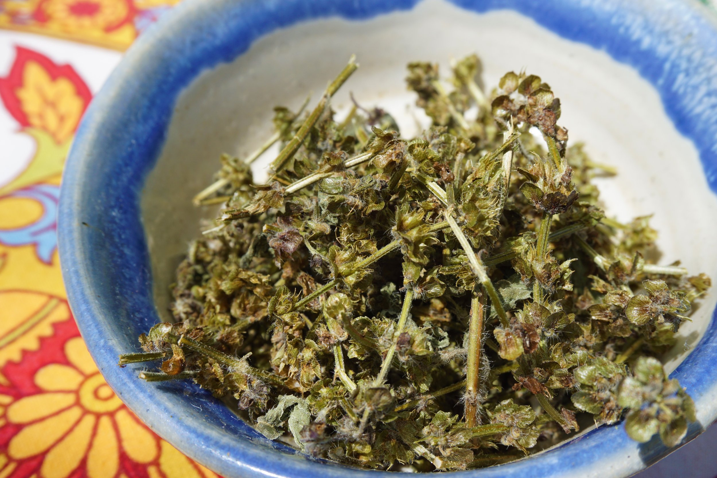 Dried Holy Basil.jpg