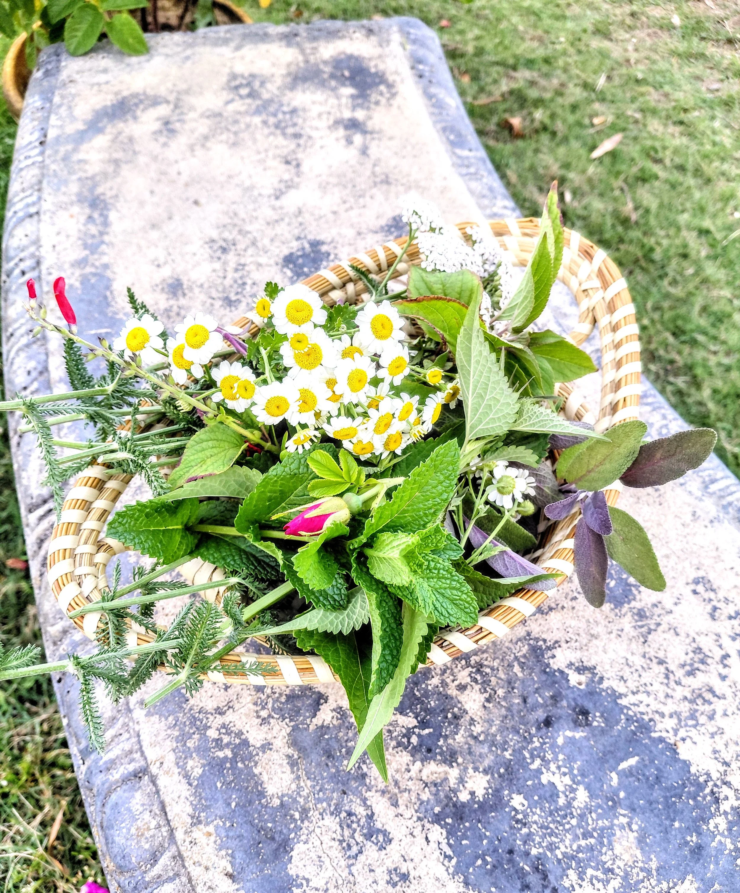 Herbal Bundle.jpg