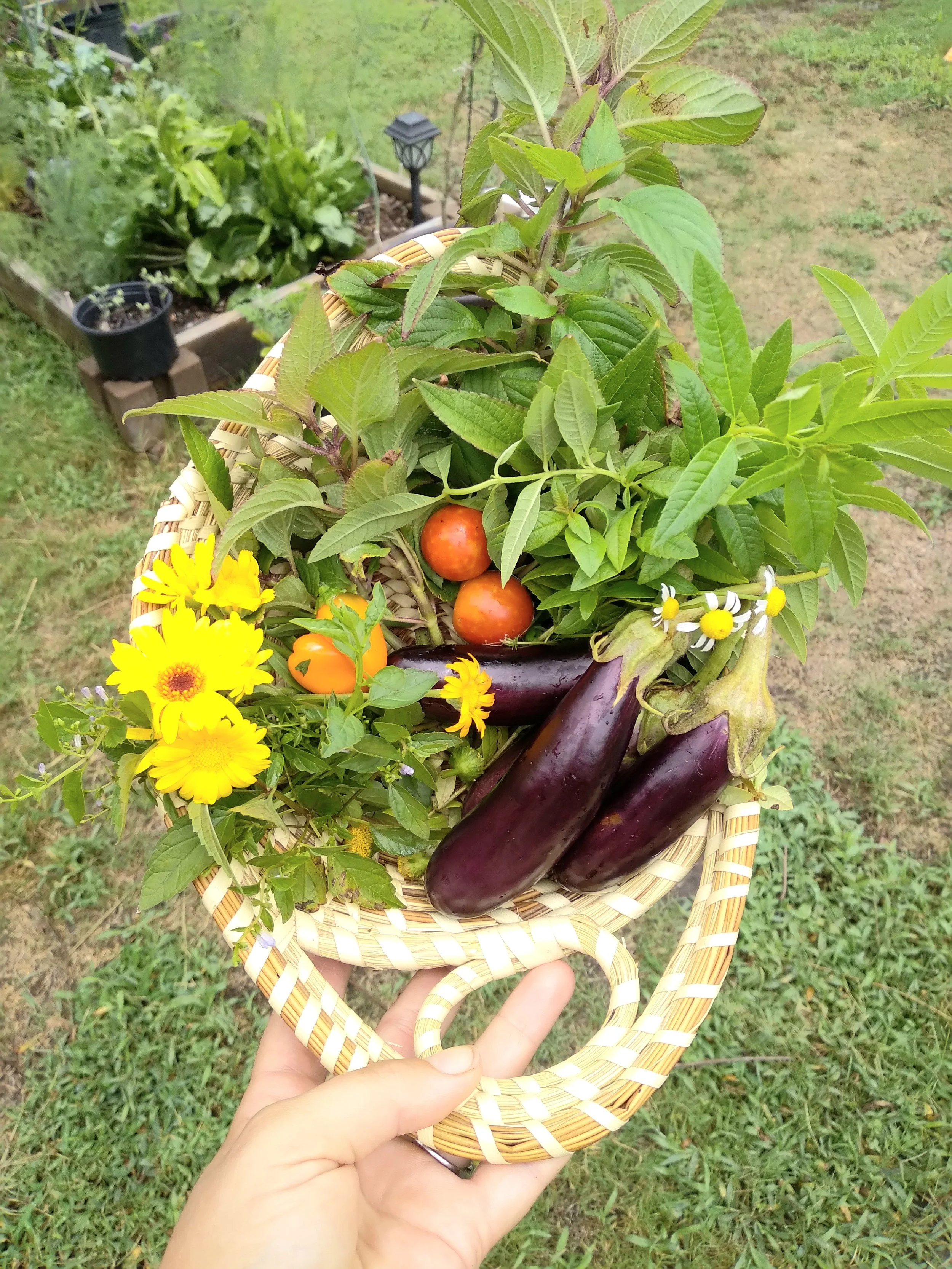 Garden Abundance.jpg