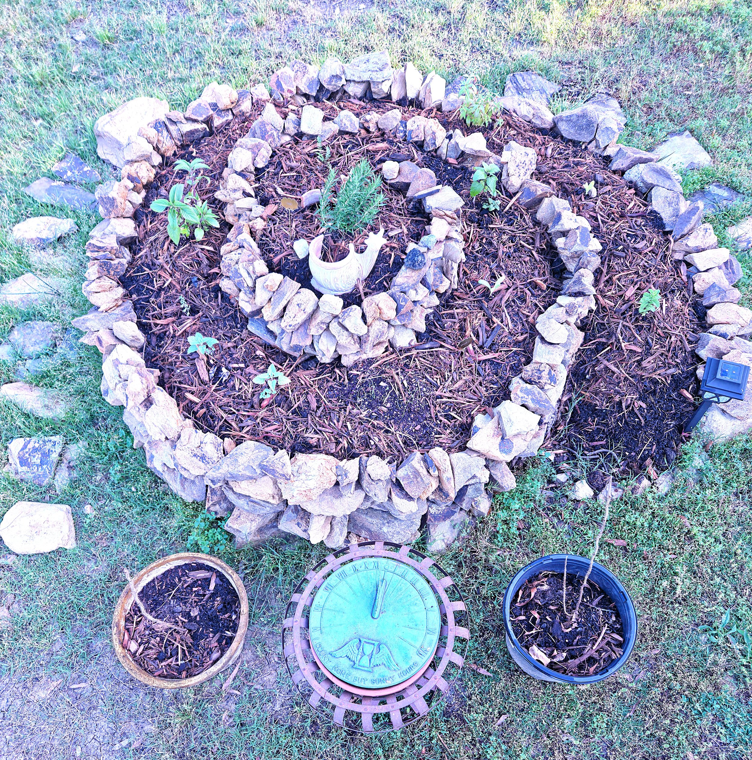 Herb Spiral.jpg