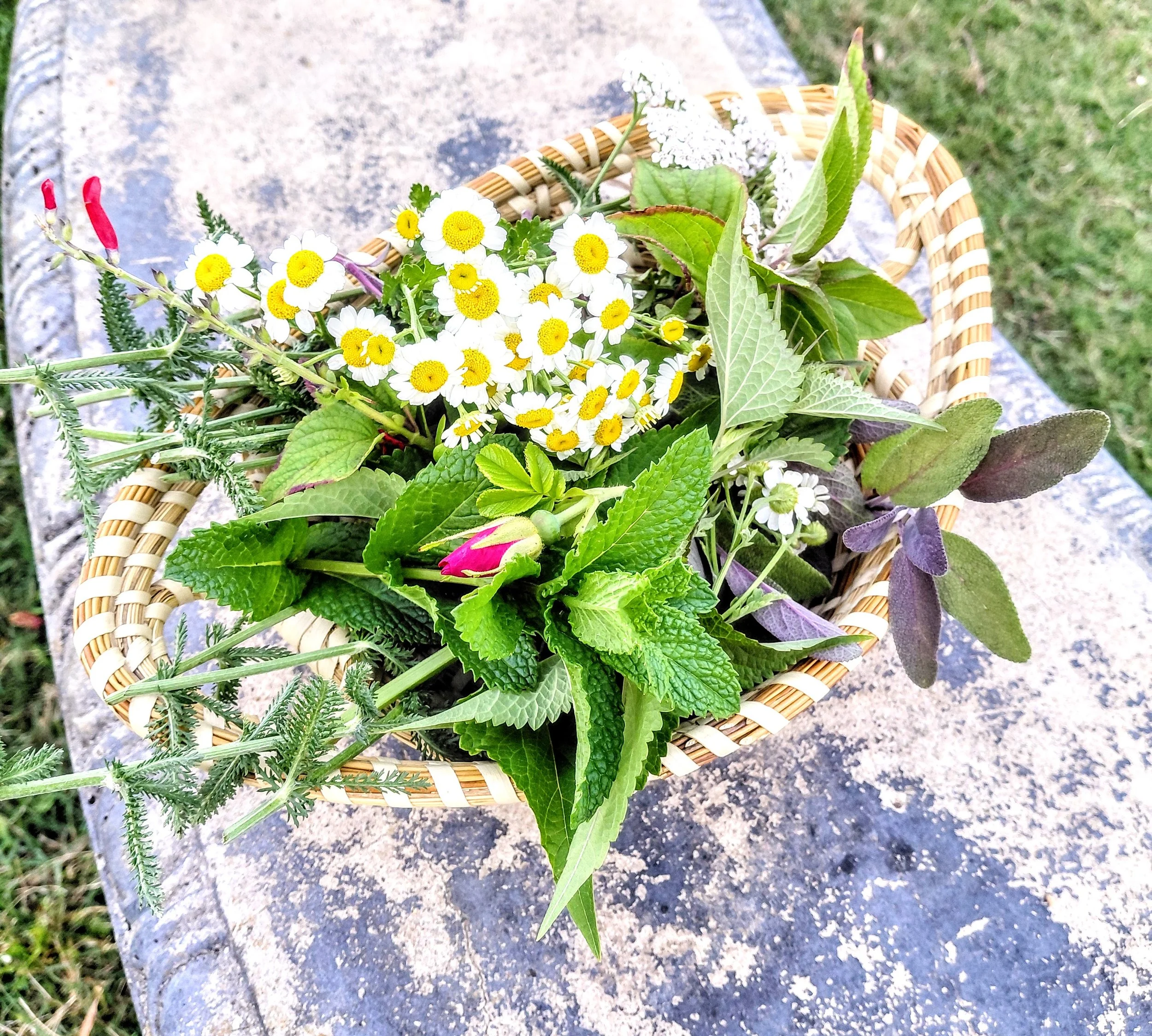 Herb Basket_Vertical.jpg