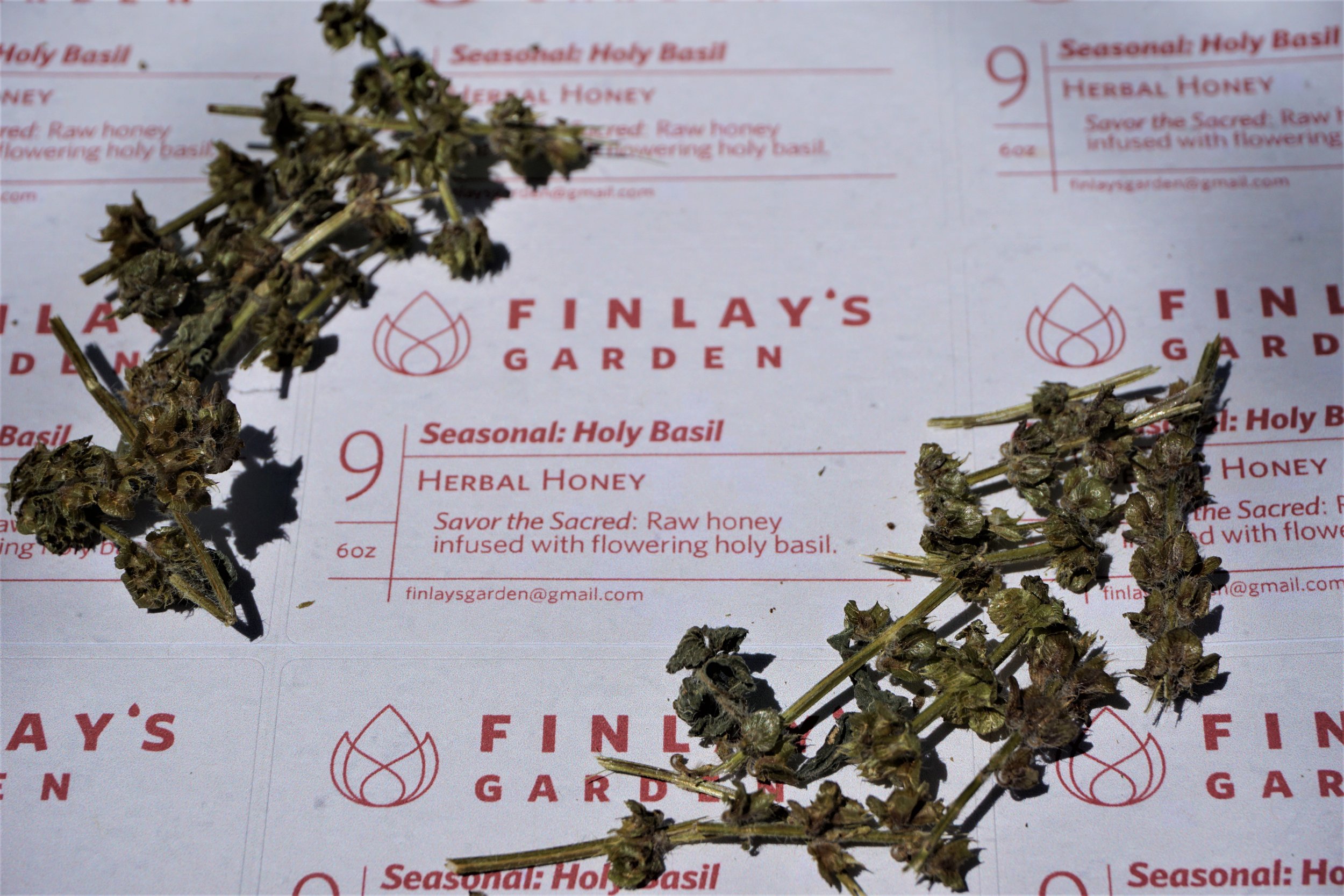 Holy Basil Label.jpg