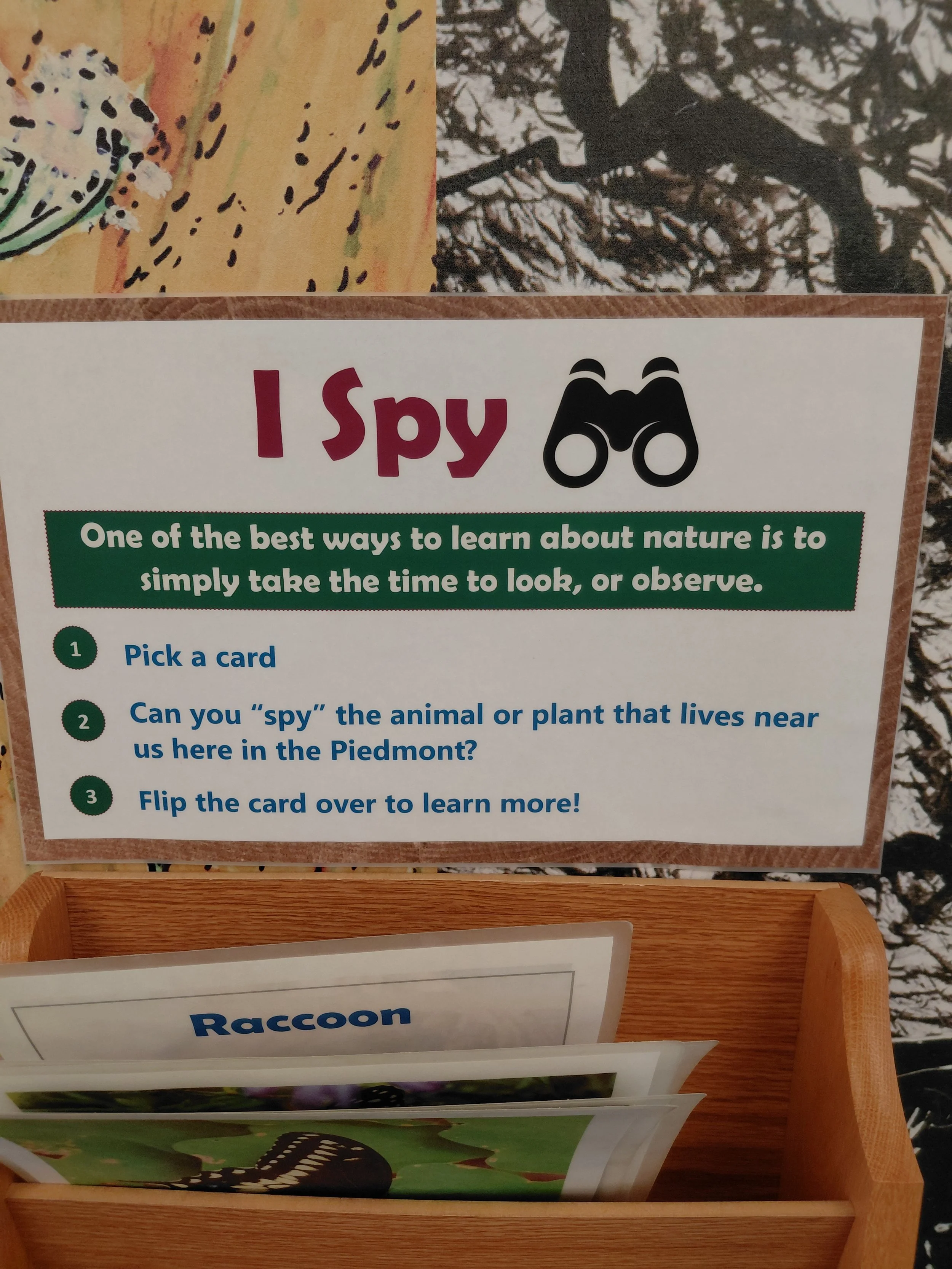 I Spy_Self Learning.jpg