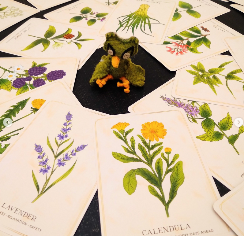 Owl Herbs.png