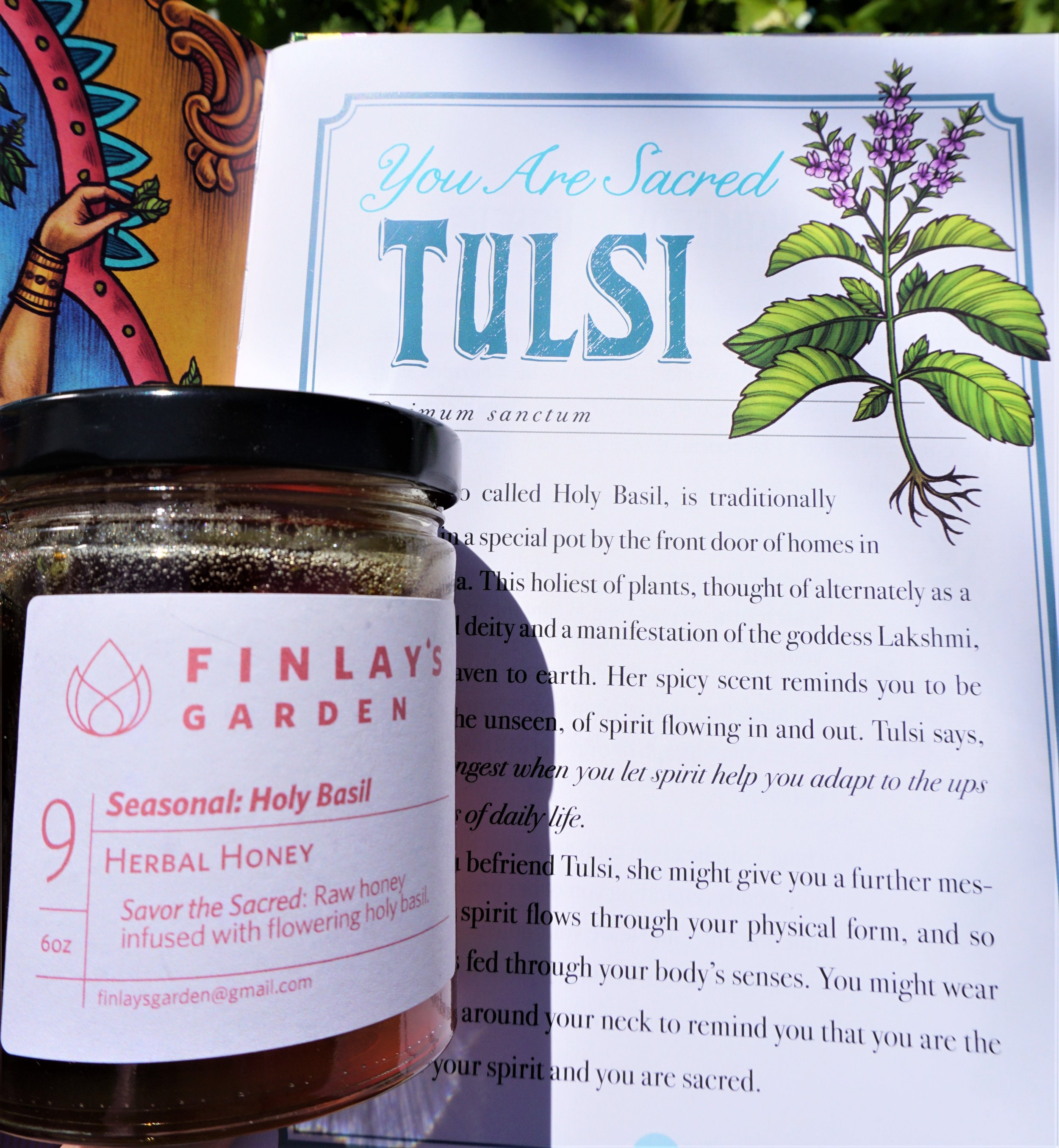 Holy Basil_HerbiaryCloseUp.jpg