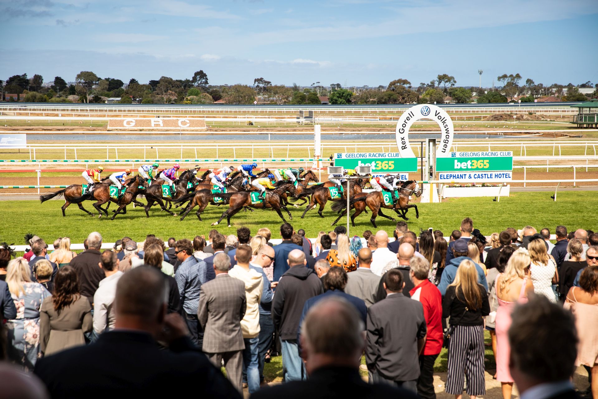 Geelong Cup - Event Photography