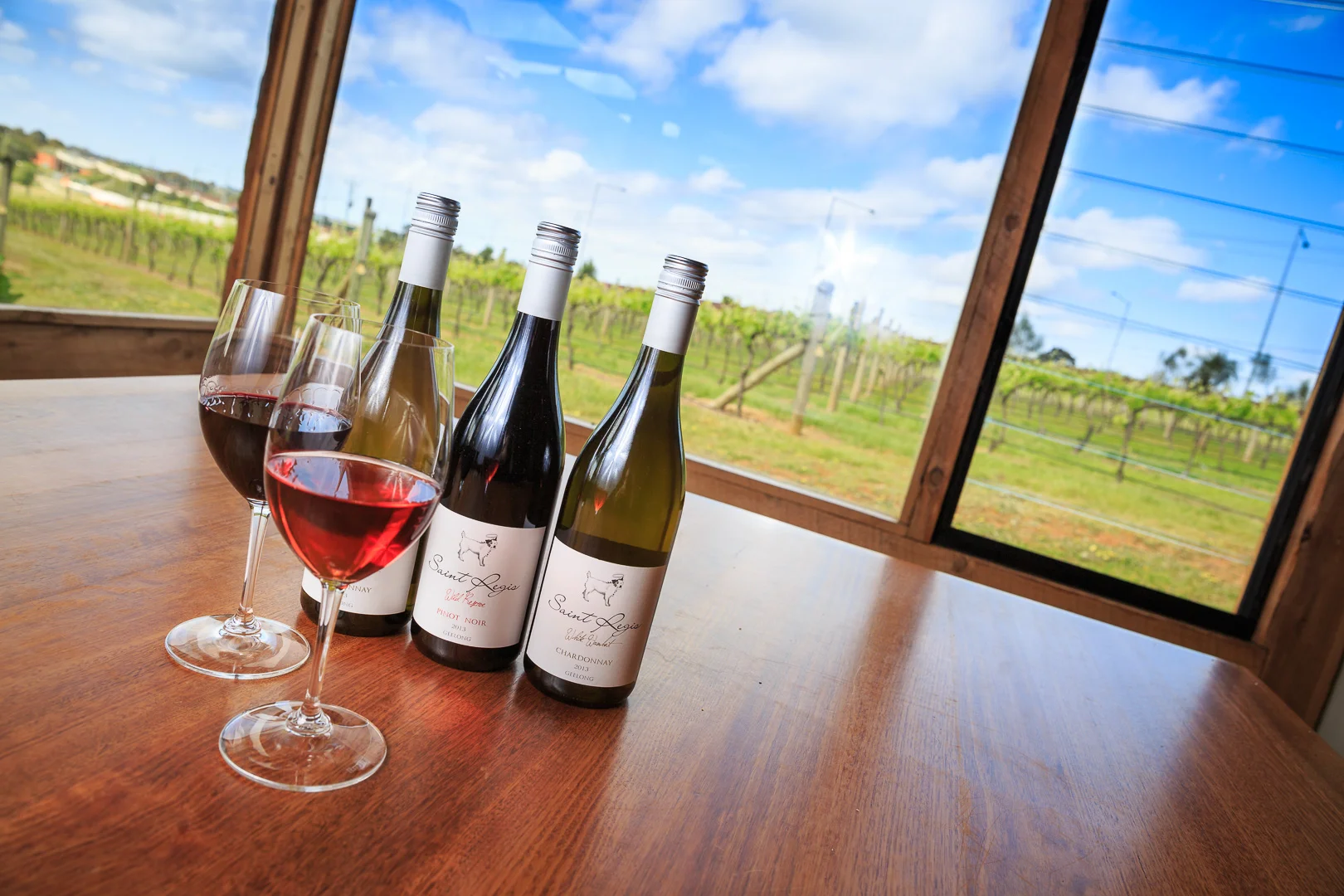 2015-10-13 - Wine Geelong - St Regis Launch-0518.jpg
