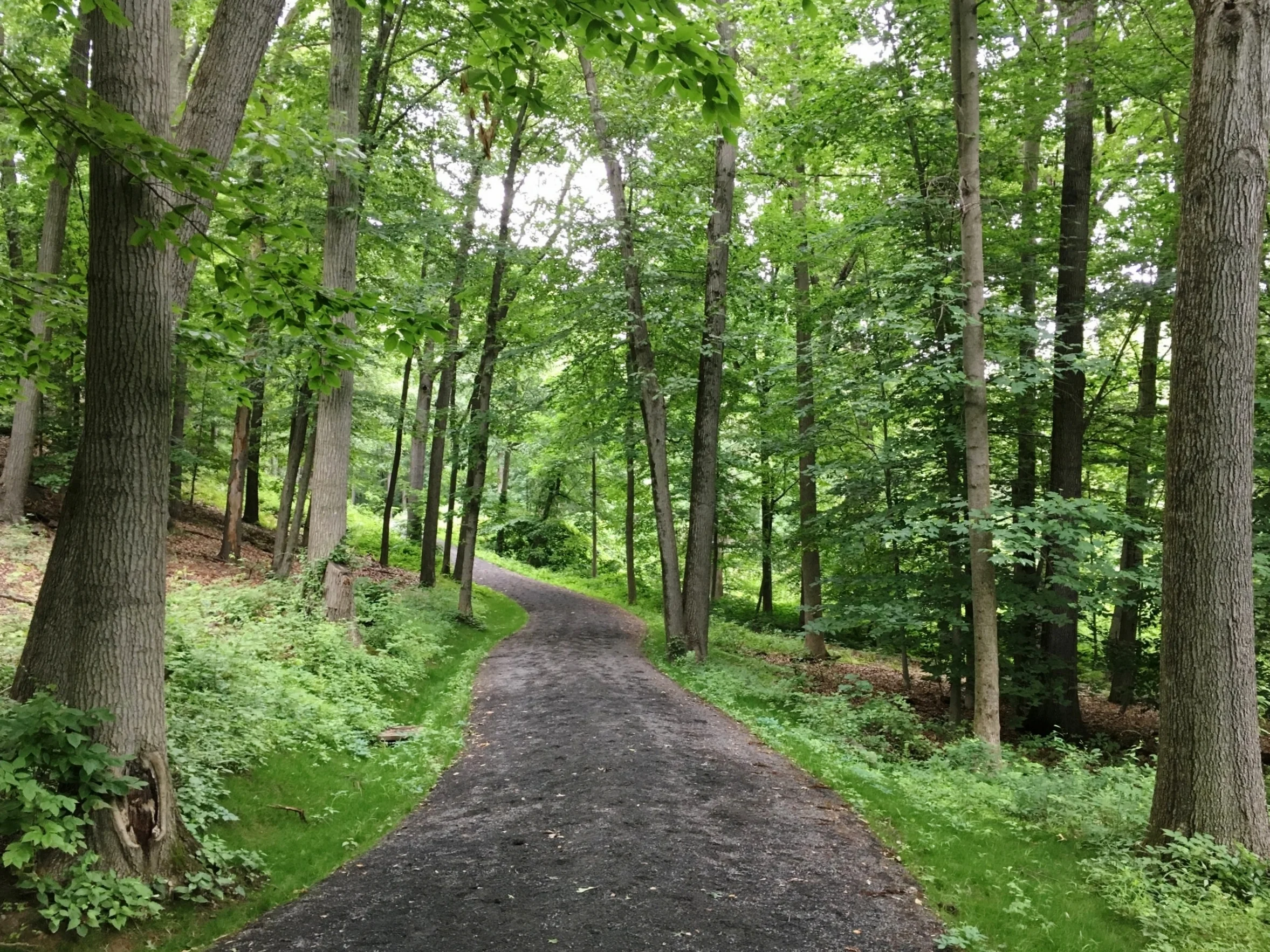 Membership and Donation — Friends of the Rockefeller State Park