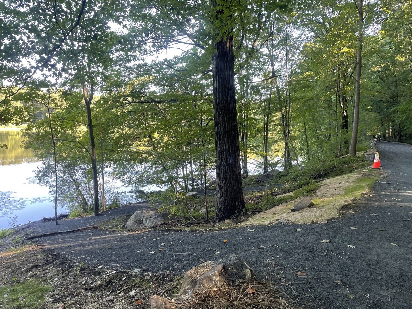 Brothers Path is complete! Swipe to see the before and after of this Swan lake access point.

This project is made possible by a NYS EPF Grant the @friendsofrspp was awarded in 2019. The Friends provided a $250,000 match. The scope of work includes t