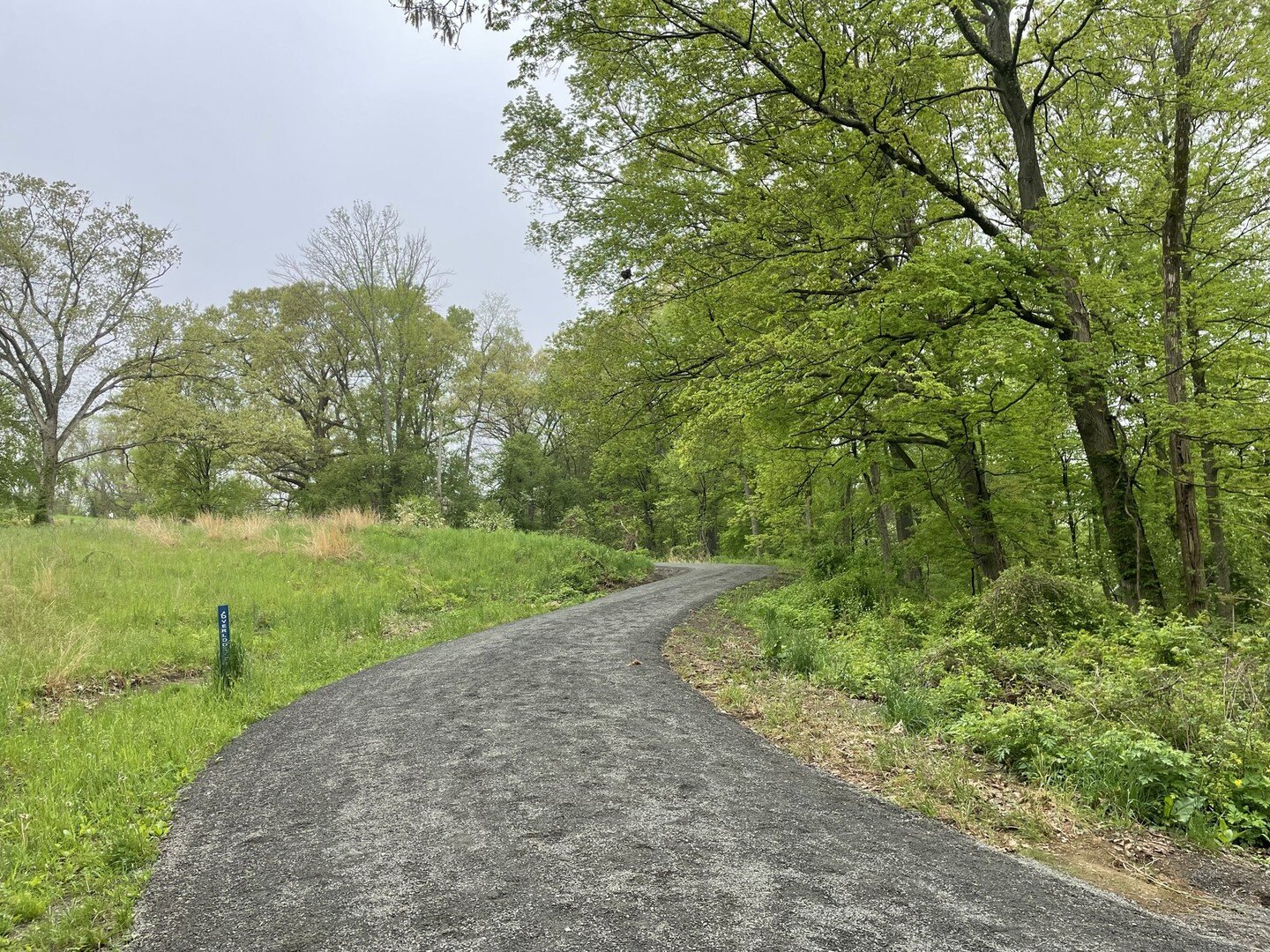 The popular Overlook Trail is known for it's panoramic view of Swan Lake (and the uphill climb 😉). But it was also in urgent need of repairs. The carriage road width had narrowed and the crown had all but disappeared, causing large ruts and washouts