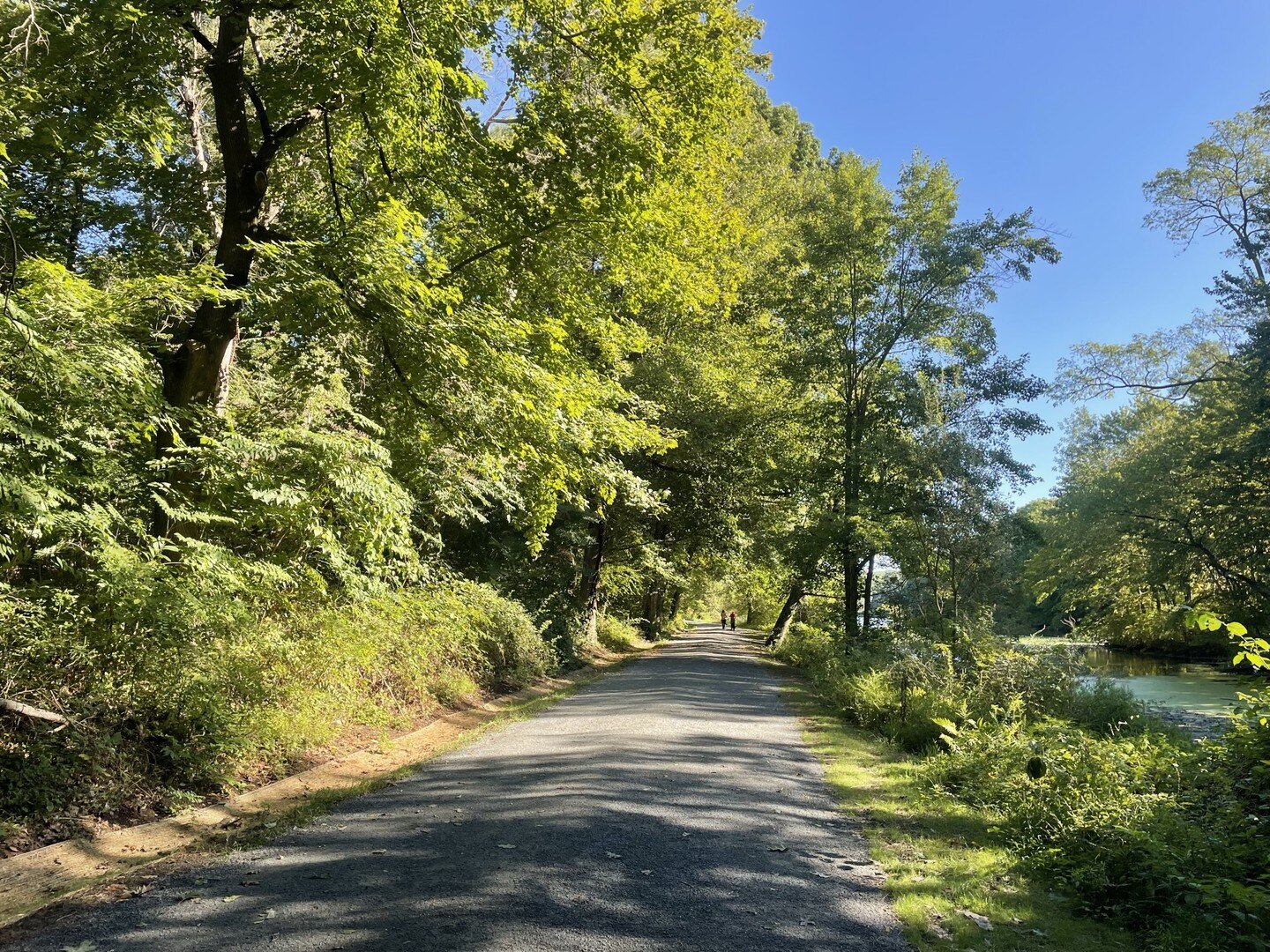 Mud no more! Restoration of the west side of Brothers Path included reestablishing the swales, clearing drains and resurfacing the carriage road. Swipe to see the before and after. The improvements will make year round visits not only more enjoyable 