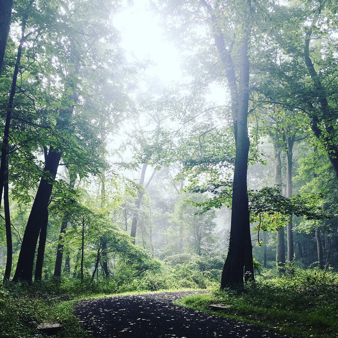 David&rsquo;s Loop #trailtuesday 

David&rsquo;s Loop is part of the Rocky&rsquo;s 5k course. You don&rsquo;t want to miss this race! All proceeds go to carriage road maintenance. 

#rockefellerstateparkpreserve #rockefellerstatepark #nystateparks #t