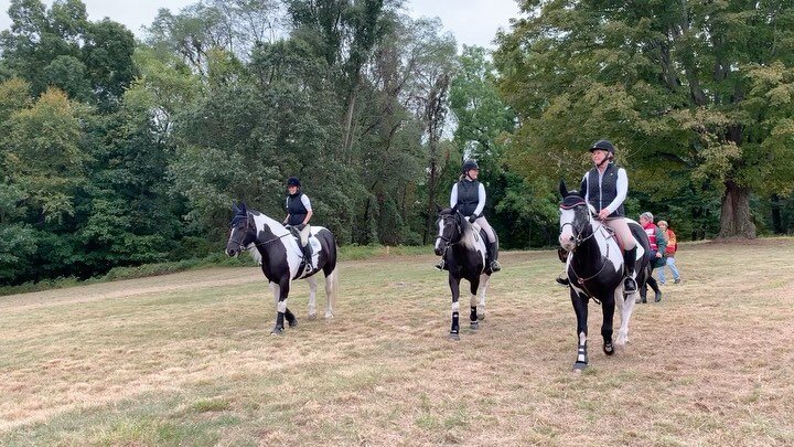 #throwbackthursday to our 2019 equestrian ride 🐎

#rockefellerstateparkpreserve #rockefellerstatepark #carriageroads #nystateparks #friendsofrspp #trailride