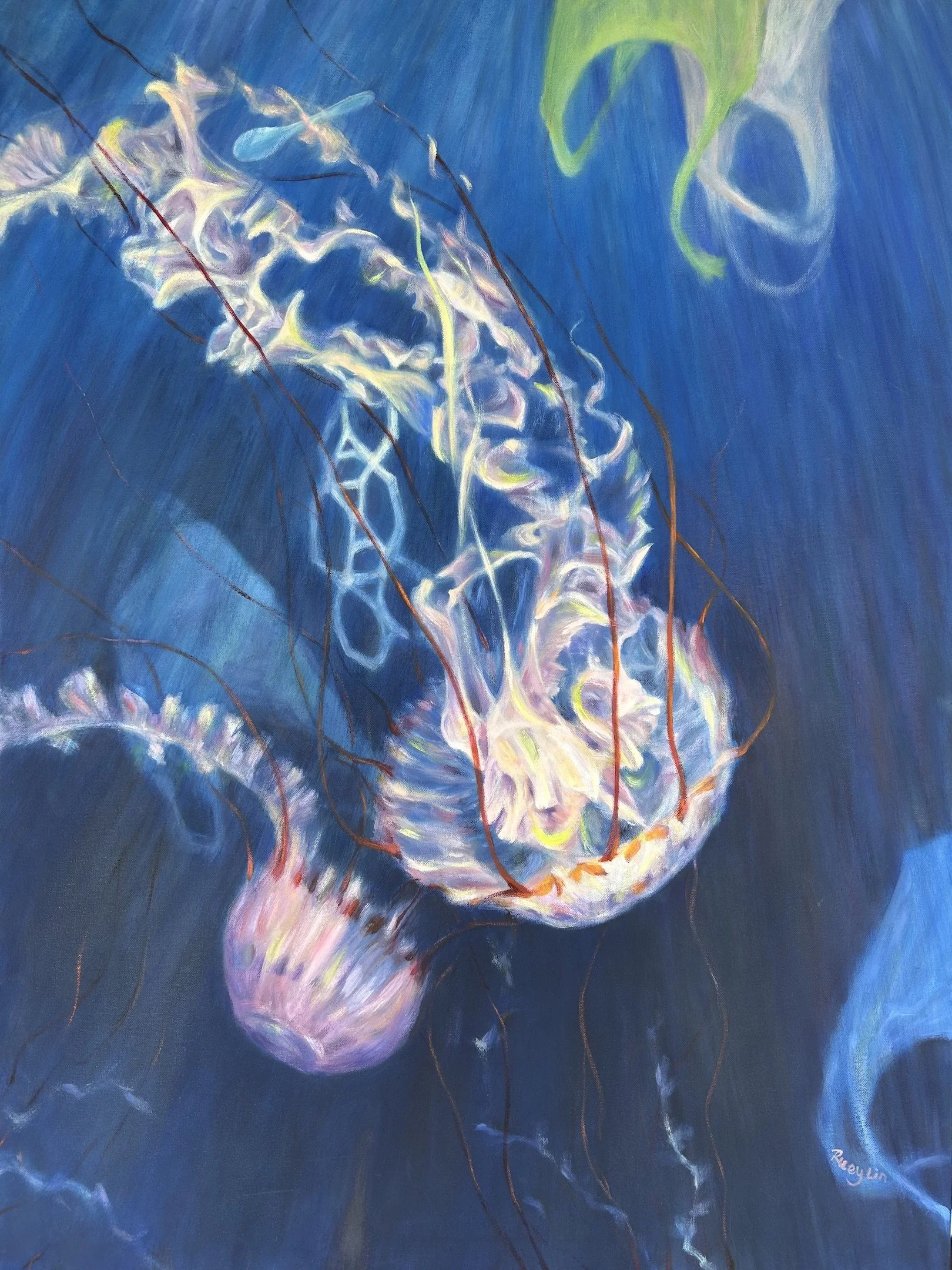 Tangling with Atlantic Sea Nettle copy.jpeg