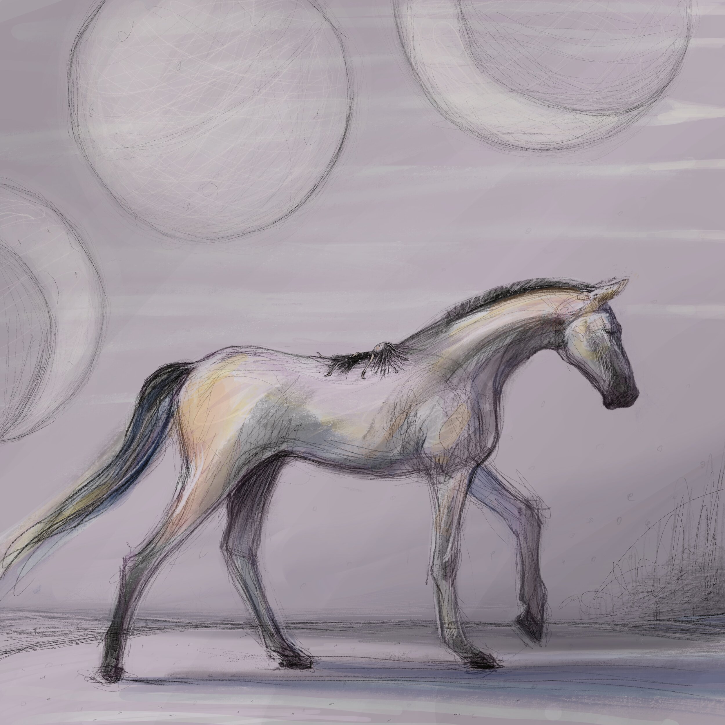 rest with your dream in my dream