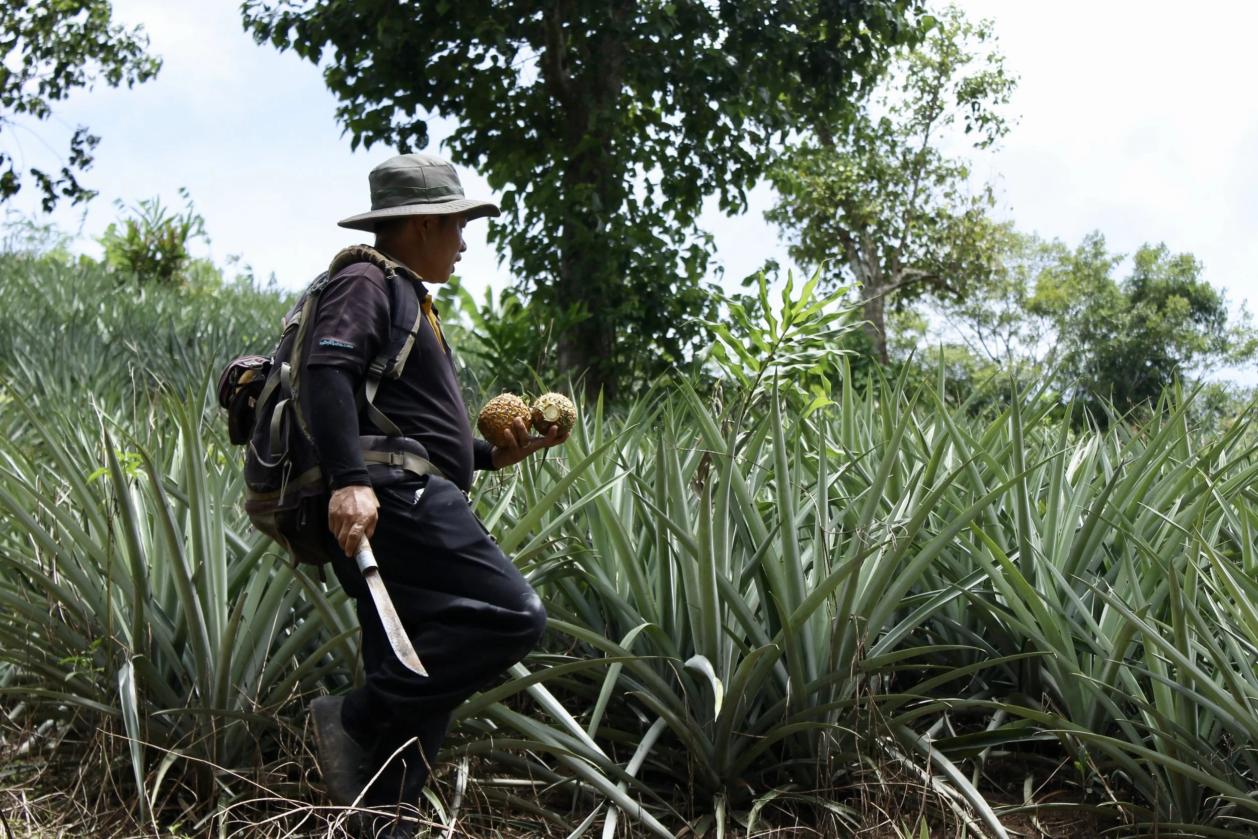 Chiang Rai: Cooking in the Jungle 