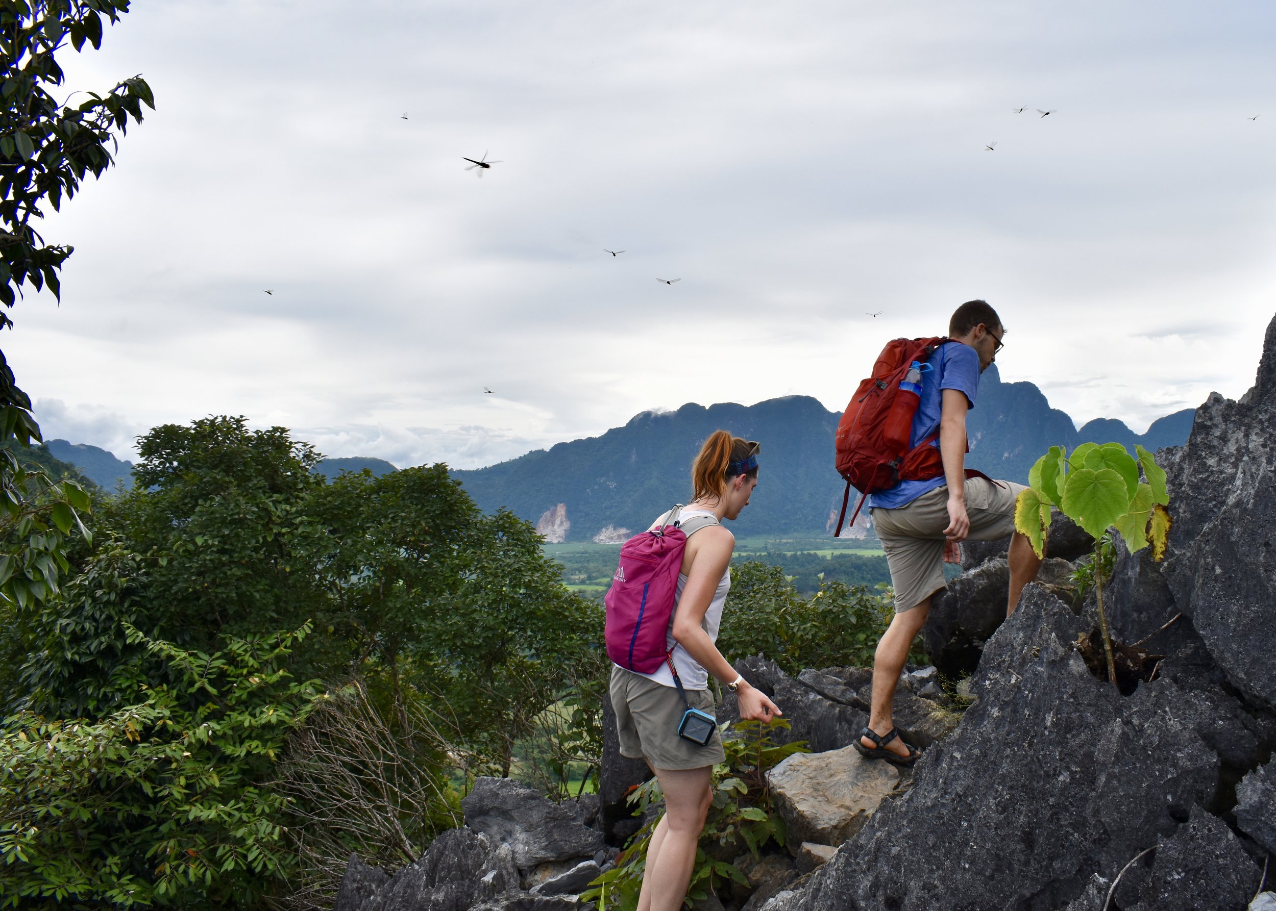  You know you've reached a certain elevation in Laos when you're swatting away dragonflies instead of mosquitoes.&nbsp;    